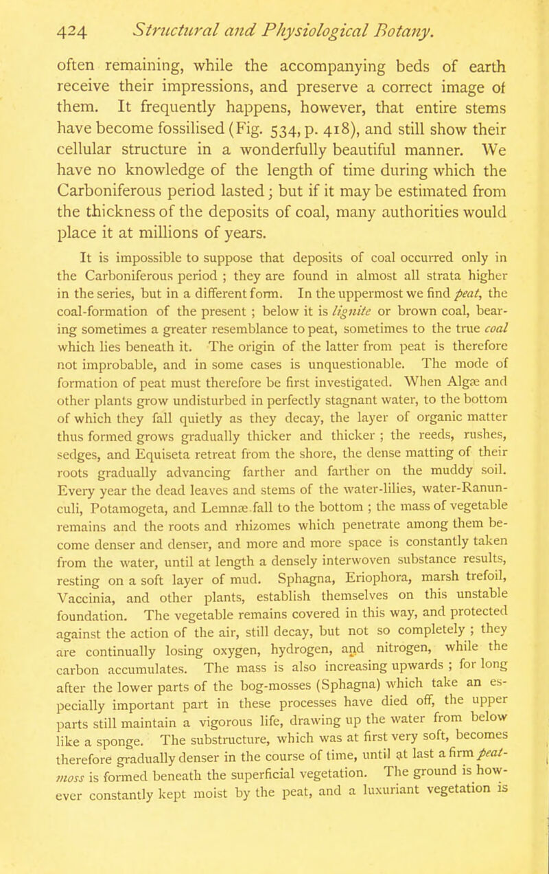 often remaining, while the accompanying beds of earth receive their impressions, and preserve a correct image of them. It frequently happens, however, that entire stems have become fossilised (Fig. 534, p. 418), and still show their cellular structure in a wonderfully beautiful manner. We have no knowledge of the length of time during which the Carboniferous period lasted; but if it may be estimated from the thickness of the deposits of coal, many authorities would place it at millions of years. It is impossible to suppose that deposits of coal occurred only in the Carboniferous period ; they are found in almost all strata higher in the series, but in a different foim. In the uppermost we find peat, the coal-formation of the present ; below it is lignite or brown coal, bear- ing sometimes a greater resemblance to peat, sometimes to the true coal which lies beneath it. The origin of the latter from peat is therefore not improbable, and in some cases is unquestionable. The mode of formation of peat must therefore be first investigated. When Algfe and other plants grow undisturbed in perfectly stagnant water, to the bottom of which they fall quietly as they decay, the layer of organic matter thus formed grows gradually thicker and thicker ; the reeds, rushes, sedges, and Equiseta retreat from the shore, the dense matting of their roots gradually advancing farther and farther on the muddy soil. Every year the dead leaves and stems of the water-lilies, water-Ranun- culi, Potamogeta, and LemncX.fall to the bottom ; the mass of vegetable remains and the roots and rhizomes which penetrate among them be- come denser and denser, and more and more space is constantly taken from the water, until at length a densely interwoven substance results, resting on a soft layer of mud. Sphagna, Eriophora, marsh trefoil, Vaccinia, and other plants, establish themselves on this unstable foundation. The vegetable remains covered in this way, and protected against the action of the air, still decay, but not so completely ; they are continually losing oxygen, hydrogen, and nitrogen, while the carbon accumulates. The mass is also increasing upwards ; for long after the lower parts of the bog-mosses (Sphagna) which take an es- pecially important part in these processes have died off, the upper parts still maintain a vigorous life, drawing up the water from below like a sponge. The substructure, which was at first very soft, becomes therefore gradually denser in the course of time, until at last a firm/ffl/- vioss is formed beneath the superficial vegetation. The ground is how- ever constantly kept moist by the peat, and a luxuriant vegetation is