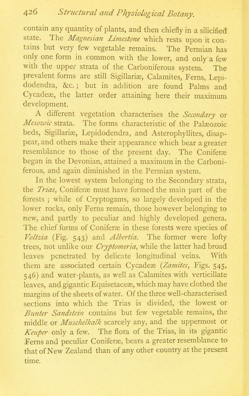 contain any quantity of plants, and then chiefly in a siUcified state. The Magnesian Limestone which rests upon it con- tains but very few vegetable remains. The Permian has only one form in common with the lower, and only a few with the upper strata of the Carboniferous system. The prevalent forms are still Sigillarige, Calamites, Ferns, Lepi- dodendra, &c.; but in addition are found Palms and Cycadese, the latter order attaining here their maximum development. A different vegetation characterises the Secondly or Mesozoic strata. The forms characteristic of the Palaeozoic beds, Sigillarige, Lepidodendra, and Asterophyllites, disap- pear, and others make their appearance which bear a greater resemblance to those of the present day. The Coniferse began in the Devonian, attained a maximum in the Carboni- ferous, and again diminished in the Permian system. In the lowest system belonging to the Secondary strata, the Trias, Coniferse must have formed the main part of the forests ; while of Cryptogams, so largely developed in the lower rocks, only Ferns remain, those however belonging to new, and partly to peculiar and highly developed genera. The chief forms of Coniferae in these forests were species of Voltzia (Fig. 543) and Albertia. The former were lofty trees, not unlike our Cryptomeria, while the latter had broad leaves penetrated by delicate longitudinal veins. With them are associated certain Cycadeae {Zamites, Figs. 545, 546) and water-plants, as well as Calamites with verticillate leaves, and gigantic Equisetacese, which may have clothed the margins of the sheets of water. Of the three well-characterised sections into which the Trias is divided, the lowest or Banter Sandstein contains but few vegetable remains, the middle or MuscJielkalk scarcely any, and the uppermost or Kei/per only a few. The flora of the Trias, in its gigantic Ferns and peculiar Coniferae, bears a greater resemblance to that of New Zealand than of any other country at the present time.