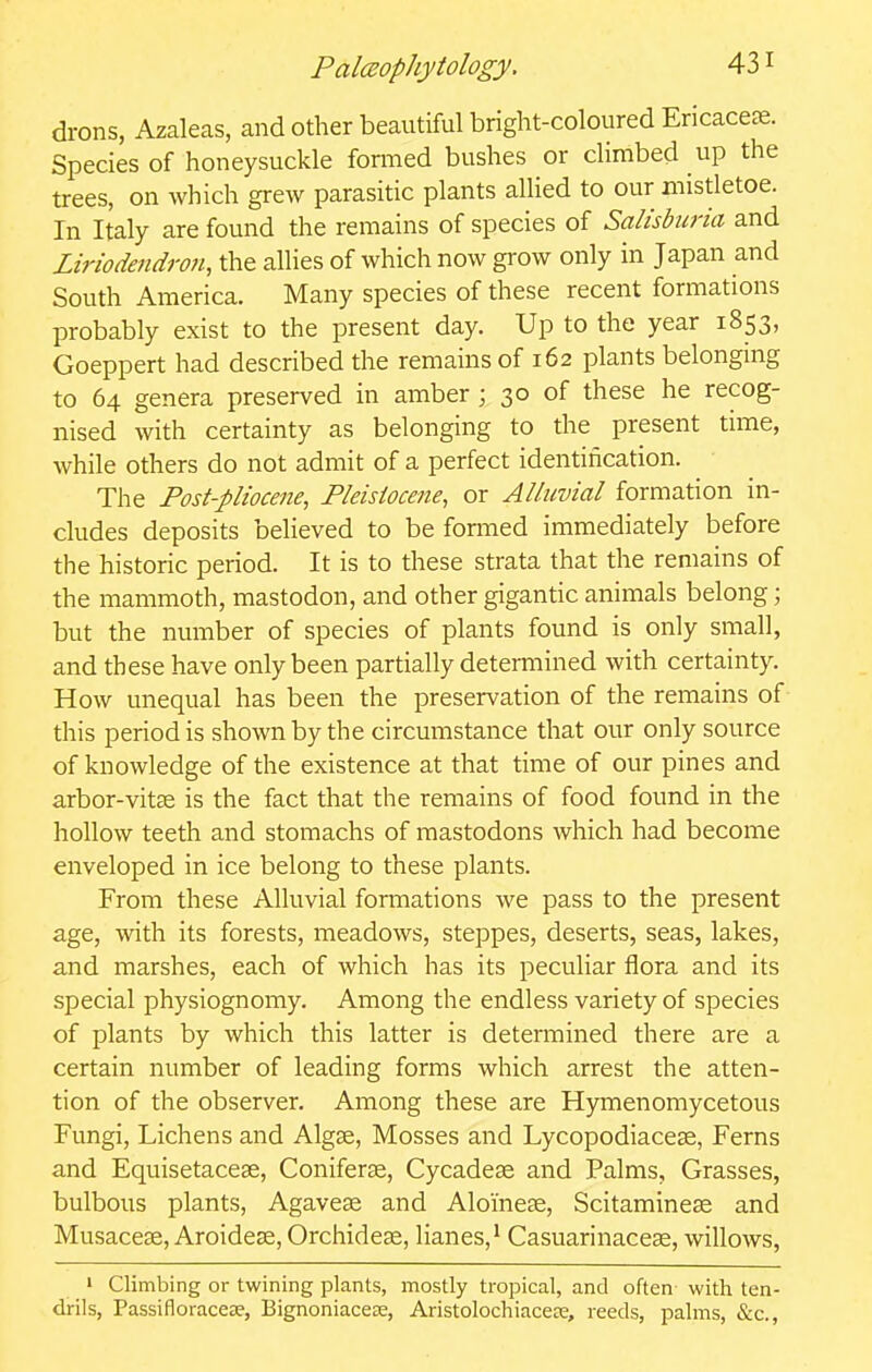 drons, Azaleas, and other beautiful bright-coloured Encacere. Species of honeysuckle formed bushes or climbed up the trees, on which grew parasitic plants allied to our mistletoe. In Italy are found the remains of species of Salisburia and Liriodendron, the allies of which now grow only in Japan and South America. Many species of these recent formations probably exist to the present day. Up to the year 1853, Goeppert had described the remains of 162 plants belonging to 64 genera preserved in amber ; 30 of these he recog- nised with certainty as belonging to the present time, while others do not admit of a perfect identification. The Post-pliocene, Pleistocene, or Alluvial formation in- cludes deposits believed to be foraied immediately before the historic period. It is to these strata that the remains of the mammoth, mastodon, and other gigantic animals belong; but the number of species of plants found is only small, and these have only been partially determined with certainty. How unequal has been the preservation of the remains of this period is shown by the circumstance that our only source of knowledge of the existence at that time of our pines and arbor-vitse is the fact that the remains of food found in the hollow teeth and stomachs of mastodons which had become enveloped in ice belong to these plants. From these Alluvial formations we pass to the present age, with its forests, meadows, steppes, deserts, seas, lakes, and marshes, each of which has its peculiar flora and its special physiognomy. Among the endless variety of species of plants by which this latter is determined there are a certain number of leading forms which arrest the atten- tion of the observer. Among these are Hymenomycetous Fungi, Lichens and Algse, Mosses and Lycopodiacese, Ferns and Equisetacese, Coniferse, Cycadese and Palms, Grasses, bulbous plants, Agavese and Aloinese, Scitamineas and Musaccce, Aroidese, Orchidese, lianes,^ Casuarinacese, willows. > Climbing or twining plants, mostly tropical, and often with ten- drils, Passiflorace^e, BignoniaceEe, AristolochiaceDe, reeds, palms, &c.,