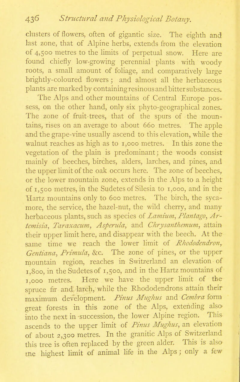 chisters of flowers, often of gigantic size. The eighth and last zone, that of Alpine herbs, extends from the elevation of 4,500 metres to the limits of perpetual snow. Here are found chiefly low-growing perennial plants with woody- roots, a small amount of foliage, and comparatively large brightly-coloured flowers; and almost all the herbaceous plants are marked by containing resinous and bitter substances. The Alps and other mountains of Central Europe pos- sess, on the other hand, only six phyto-geographical zones. The zone of fruit-trees, that of the spurs of the moun- tains, rises on an average to about 660 metres. The apple and the grape-vine usually ascend to this elevation, while the walnut reaches as high as to 1,000 metres. In this zone the vegetation of the plain is predominant; the woods consist mainly of beeches, birches, alders, larches, and pines, and the upper limit of the oak occurs here. The zone of beeches, or the lower mountain zone, extends in the Alps to a height of 1,500 metres, in the Sudetes of Silesia to 1,000, and in the Hartz mountains only to 600 metres. The birch, the syca- more, the service, the hazel-nut, the wild cherry, and many herbaceous plants, such as species of Lamiuin, Plantago, Ar- temisia, Taraxactmi, Asperula, and Chrysanthemum, attain their upper limit here, and disappear with the beech. At the same time we reach the lower limit of Rhododendi'on, Gentiana, Primula, &c. The zone of pines, or the upper mountain region, reaches in Switzerland an elevation of 1,800, in the Sudetes of 1,500, and in the Hartz mountains of 1,000 metres. Here we have the upper limit of the spruce fir and larch, while the Rhododendrons attain their maximum development. Finns Mughus and Cemhra form great forests in this zone of the Alps, extending alsO' into the next in succession, the lower Alpine region. This ascends to the upper limit of Pinus Mughus, an elevation of about 2,300 metres. In the granitic Alps of Switzerland this tree is often replaced by the green alder. This is also me highest limit of animal life in the Alps; only a few