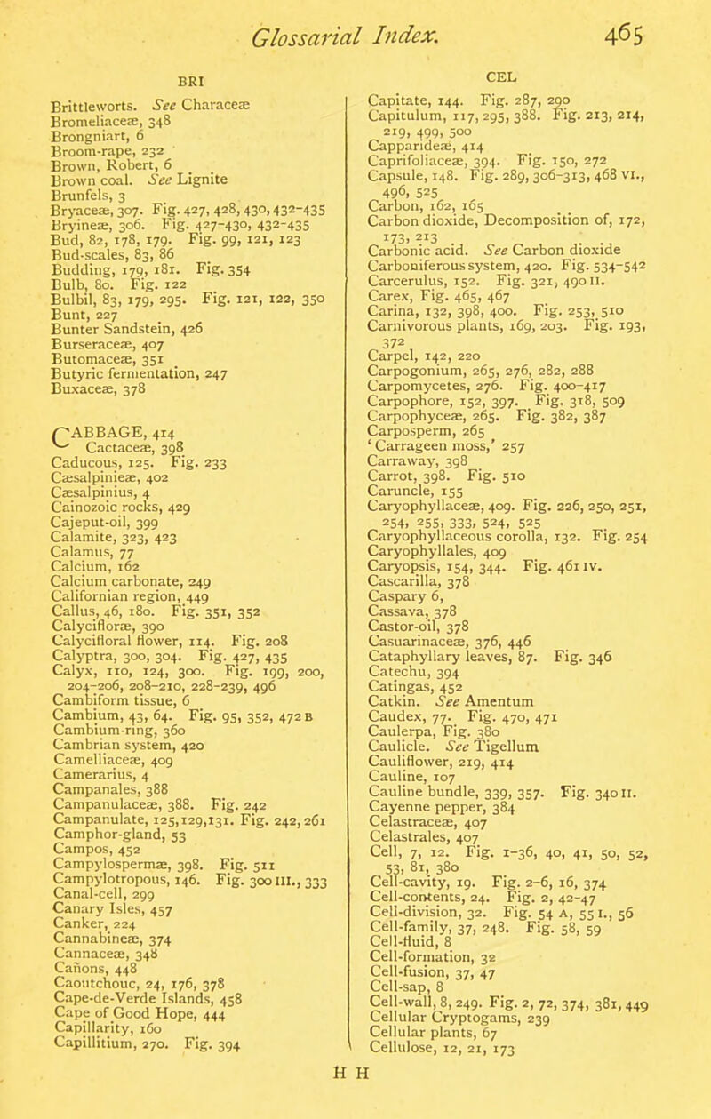 BRI Brittleworts. See Characei BromeliacejE, 348 Brongniart, 6 Broom-rape, 232 Brown, Robert, 6 Brown coal. See Lignite Brunfels, 3 Bryaceee, 307. Fig. 427, 428,430,432-435 Bryinea;, 306. Fig. 427-430, 432-435 Bud, 82, 178, 179. Fig. 99, 121, 123 Bud-scales, 83, 86 Budding, 179, 181. Fig. 354 Bulb, 80. Fig. 122 Bulbil, 83, 179, 295. Fig. 121, 122, 350 Bunt, 227 Bunter Sandstein, 426 Bur.serace2e, 407 Butomaceae, 351 Butyric fernienlationi 247 Buxacese, 378 pABBAGE, 414 ^ Cactaceae, 398 Caducous, 125. Fig. 233 Cssalpinieae, 402 Csesalpinius, 4 Cainozoic rocks, 429 Cajeput-oil, 399 Calamite, 323, 423 Calamus, 77 Calcium, 162 Calcium carbonate, 249 Californian region, 449 Callus, 46, 180. Fig. 351, 352 CalyciflorjE, 390 Calycifloral flower, 114. Fig. 208 Calyptra, 300, 304. Fig. 427, 435 Calyx, 110, 124, 300. Fig. 199, 200, 204-;2o6, 208-210, 228-239, 496 Cambiform tissue, 6 Cambium, 43, 64. Fig. 95, 352, 472 b Cambium-nng, 360 Cambrian system, 420 CamelliacejE, 409 Camerarius, 4 Campanales, 388 CampanulacecE, 388. Fig. 242 Campanulate, 125,129,131. Fig. 242,261 Camphor-gland, 53 Campos, 452 Campylospermae, 398. Fig. 511 Campylotropous, 146. Fig. 300 III., 333 Canal-cell, 299 Canary Isles, 457 Canker, 224 Cannabineae, 374 Cannaceae, 348 Canons, 448 Caoutchouc, 24, 176, 378 Cape-de-Verde Islands, 458 Cape of Good Hope, 444 Capillarity, 160 Capillitium, 270. Fig. 394 CEL Capitate, 144. Fig. 287, 290 Capitulum, 117, 295, 388. Fig. 213, 214, 219. 499. 500 Capparidefe, 414 CaprifoliacccE, 394. Fig. 150, 272 Capsule, 148. Fig. 289, 306-313, 468 VI., 496. 525 Carbon, 162, 165 Carbon dioxide, Decomposition of, 172, i73> 213 . . . Carbonic acid. See Carbon dioxide Carboniferous system, 420. Fig. 534-542 Carcerulus, 152. Fig. 321, 49011. Carex, Fig. 465, 467 Carina, 132, 398, 400. Fig. 253, 510 Carnivorous plants, 169, 203. Fig. 193, 372 Carpel, 142, 220 Carpogonium, 265, 276, 282, 288 Carpomycetes, 276. Fig. 400-417 Carpophore, 152, 397. _ Fig. 318, 509 Carpophyceae, 265. Fig. 382, 387 Carposperm, 265 ' Carrageen moss,' 257 Carraway, 398 Carrot, 398. Fig. 510 Caruncle, 155 Caryophyllaceae, 409. Fig. 226, 250, 251, 254. 255. 333. 524, 525 Caryophyllaceous corolla, 132. Fig. 254 Caryophyllales, 409 Caryopsis, 154, 344. Fig. 461IV. Cascarilla, 378 Caspary 6, Cassava, 378 Castor-oil, 378 Casuarinaceae, 376, 446 Cataphyllary leaves, 87. Fig. 346 Catechu, 394 Catingas, 452 Catkin. See Amentum Caudex, 77. Fig. 470, 471 Caulerpa, Fig. 380 Caulicle. See Tigellum Cauliflower, 219, 414 Cauline, 107 Cauline bundle, 339, 357. Fig. 340II. Cayenne pepper, 384 Celastraceaa, 407 Celastrales, 407 Cell, 7, 12. Fig. 1-36, 40, 41, 50, 52, 53, 81, 380 Cell-cavity, ig. Fig. 2-6, 16, 374 Cell-contents, 24. Fig. 2, 42-47 Cell-division, 32. Fig. 54 A, 55 i., 56 Cell-family, 37, 248. Fig. 58, 59 Cell-fluid, 8 Cell-formation, 32 Cell-fusion, 37, 47 Cell-sap, 8 Cell-wall, 8, 249. Fig. 2, 72, 374, 381,449 Cellular Cryptogams, 239 Cellular plants, 67 ' Cellulose, 12, 21, 173 H H