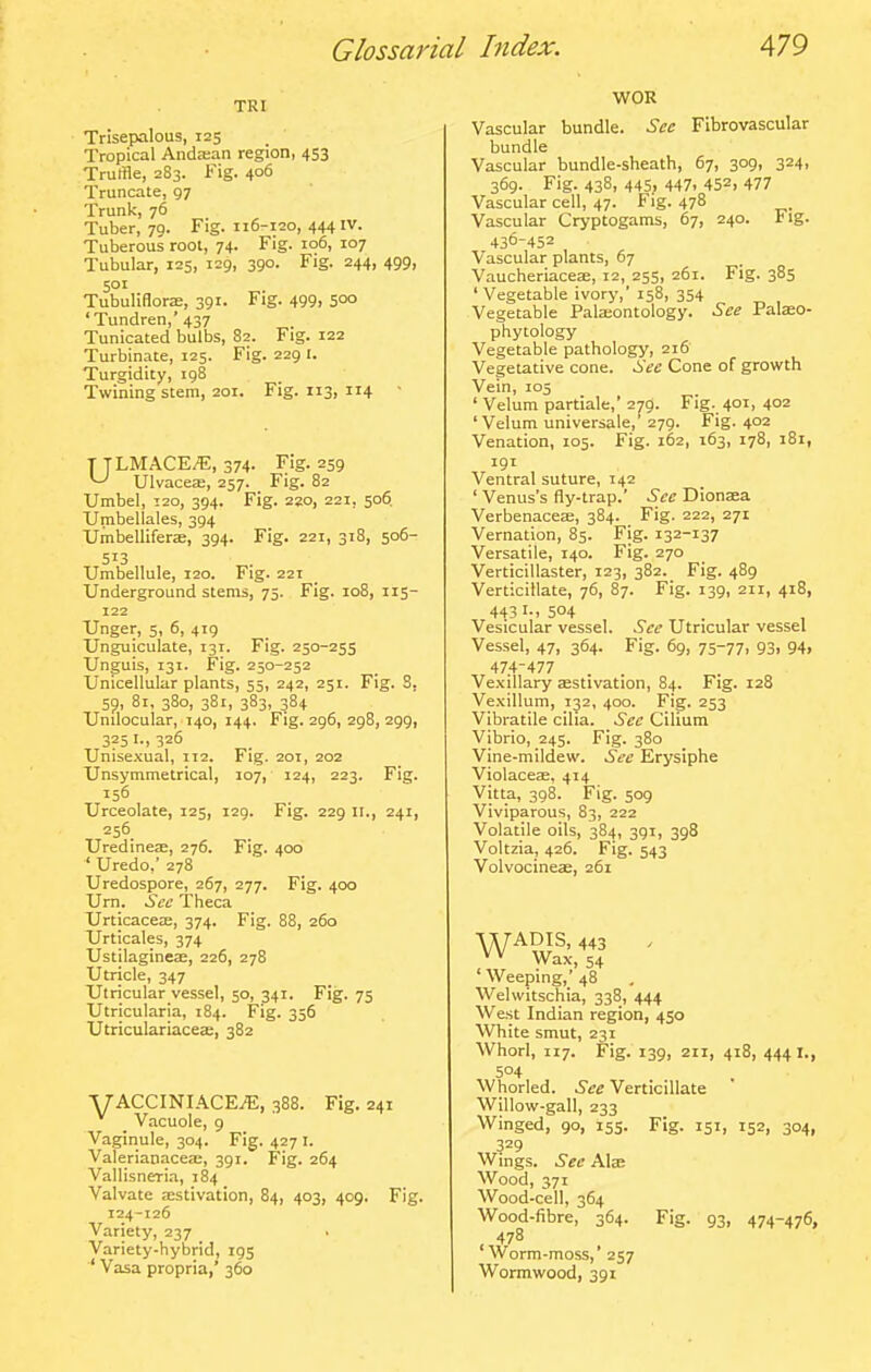 TRI Trisepalous, 125 Tropical Anda;an region, 453 Truffle, 283. Fig. 406 Truncate, 97 Trunk, 76 Tuber, 79. Fig. 116-120, 444IV. Tuberous root, 74. Fig. 106, 107 Tubular, 125, 129, 390. Fig. 244, 499, 501 Tubuliflorae, 391. Fig. 499, 5°° 'Tundren,' 437 Tunicated bulbs, 82. Fig. 122 Turbinate, 125. Fig. 229 I. Turgidity, 198 Twining stem, 201. Fig. 113, 114 T TLMACE^, 374- Fig. 259 ^ Ulvaceas, 257. Fig. 82 Umbel, !2o, 394. Fig. 220, 221, 506. Unibellales, 394 Umbelliferae, 394. Fig. 221, 318, 506- 513 Umbellule, 120. Fig. 221 Underground stems, 75. Fig. 108, 115- 122 Unger, 5, 6, 419 Unguiculate, 131. Fig. 250-255 Unguis, 131. Fig. 250-252 Unicellular plants, 55, 242, 251. Fig. 8. 59, 81, 380, 381, 383, 384 Unilocular, 140, 144. Fig. 296, 298, 299, 325 I., 326 Unisexual, 112. Fig. 201, 202 Unsymmetrical, 107, 124, 223. Fig. 156 Urceolate, 125, 129. Fig. 229 11., 241, 256 Uredinese, 276. Fig. 400 ' Uredo,' 278 Uredospore, 267, 277. Fig. 400 Urn. Sec Theca UrticaccEE, 374. Fig. 88, 260 Urticales, 374 Ustilagine:E, 226, 278 Utricle, 347 Utricular vessel, 50, 341. Fig. 75 Utricularia, 184. Fig. 356 Utriculariacea;, 382 YACCINIACE.B, 388. Fig. 241 _ Vacuole, 9 Vaginule, 304. Fig. 427 i. Valerianacete, 391. Fig. 264 Vallisneria, 184 Valvate aestivation, 84, 403, 409. Fig. 124-126 Variety, 237 Variety-hybrid, 195 ' Vasa propria,' 360 WOR Vascular bundle. See Flbrovascular bundle Vascular bundle-sheath, 67, 309, 324, 369. Fig. 438, 445, 447. 452, 477 Vascular cell, 47. Fig. 478 Vascular Cryptogams, 67, 240. Fig. 436-452 Vascular plants, 67 Vaucheriaceas, 12, 255, 261. Fig. 385 'Vegetable ivory, 158, 354 Vegetable Pala;ontology. See Palaeo- phytology Vegetable pathology, 216 Vegetative cone. See Cone of growth Vein, 105 ' Velum partiale,' 279. Fig. 401, 402 ' Velum universale,' 279. Fig. 402 Venation, 105. Fig. 162, 163, 178, 181, 191 Ventral suture, 142 ' Venus's fly-trap. See Dionaea VerbenaceiE, 384. Fig. 222, 271 Vernation, 85. Fig. 132-137 Versatile, 140. Fig. 270 Verticillaster, 123, 382. Fig. 489 Verticillate, 76, 87. Fig. 139, 211, 418, 443 504 Vesicular vessel. See Utricular vessel Vessel, 47, 364. Fig. 69, 75-77, 93i 94> 474-477 Vexillary aestivation, 84, Fig. 128 Vexillum, 132, 400. Fig. 253 Vibratile cilia. See Ciliura Vibrio, 245. Fig. 380 Vine-mildew. See Erysiphe ViolacecE, 414 Vitta, 398. Fig. 509 Viviparous, 83, 222 Volatile oils, 384, 391, 398 Voltzia, 426. Fig. 543 Volvocineae, 261 ' Weeping, 48 Welwitschia, 338, 444 West Indian region, 450 White smut, 231 Whorl, 117. Fig. 139, 211, 418, 4441., 504 Whorled. See Verticillate Willow-gall, 233 Winged, 90, 155. Fig. 151, 152, 304, 329 Wings. Sec AIeb Wood, 371 Wood-cell, 364 Wood-fibre, 364. Fig. 93, 474-476, 478 Worm-moss,' 257 Wormwood, 391