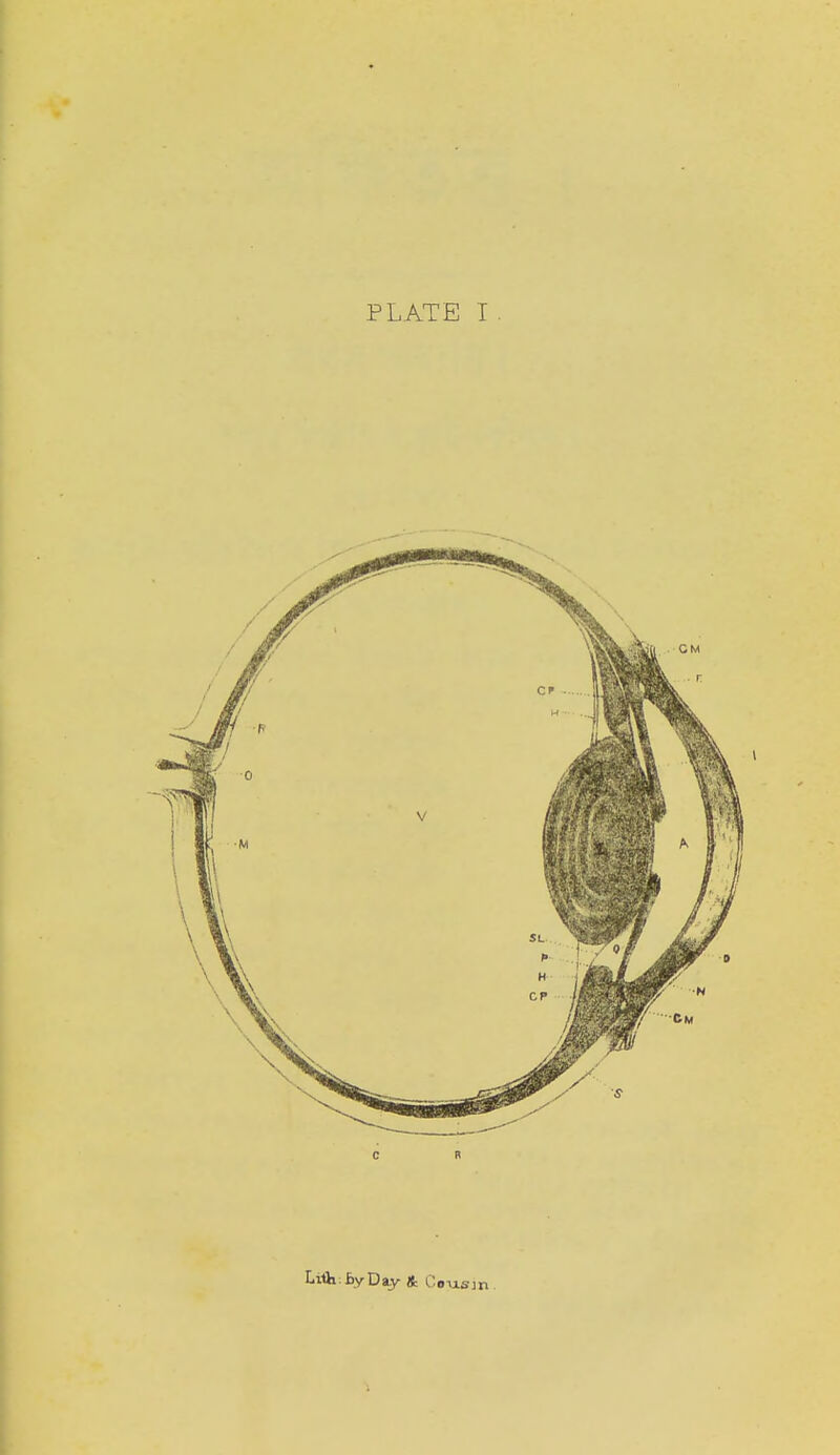 PLATE I . Lilt: By Day & Ccvisjn