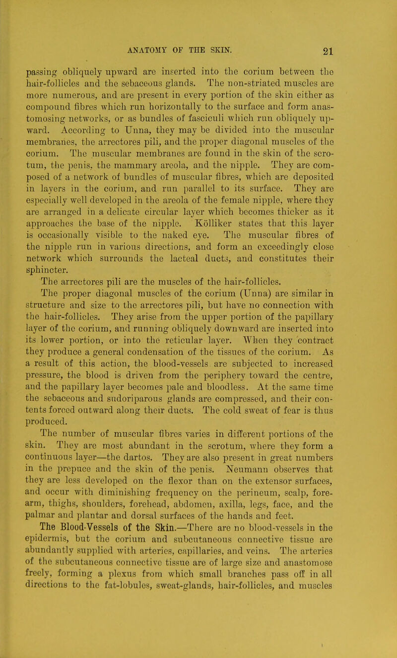 passing obliquely upward are inserted into the corium between the hair-follicles and the sebaceous glands. The non-striated muscles are more numerous, and are present in every portion of the skin either as compound fibres which run horizontally to the surface and form anas- tomosing networks, or as bundles of fasciculi which run obliquely up- ward. According to Unna, they may be divided into the muscular membranes, the arrectores pili, and the proper diagonal muscles of the corium. The muscular membranes are found in the skin of the scro- tum, the penis, the mammary areola, and the nipple. They are com- posed of a network of bundles of muscular fibres, which are deposited in layers in the corium, and run parallel to its surface. They are especially well developed in the areola of the female nipple, where they are arranged in a delicate circular layer which becomes thicker as it approaches the base of the nipple. Kolliker states that this layer is occasionally visible to the naked eye. The muscular fibres of the nipple run in various directions, and form an exceedingly close network which surrounds the lacteal ducts, and constitutes their sphincter. The arrectores pili are the muscles of the hair-follicles. The proj)er diagonal muscles of the corium (Unna) are similar in structure and size to the arrectores pili, but have no connection with the hair-follicles. They arise from the upper portion of the papillary layer of the corium, and running obliquely downward are inserted into its lower portion, or into the reticular layer. When they contract they produce a general condensation of the tissues of the corium. As a result of this action, the blood-vessels are subjected to increased pressure, the blood is driven from the periphery toward the centre, and the papillary layer becomes pale and bloodless. At the same time the sebaceous and sudoriparous glands are compressed, and their con- tents forced outward along their ducts. The cold sweat of fear is thus produced. The number of muscular fibres varies in different portions of the skin. They are most abundant in the scrotum, where they form a continuous layer—the dartos. They are also present in great numbers in the prepuce and the skin of the penis. Neumann observes that they are less developed on the flexor than on the extensor surfaces, and occur with diminishing frequency on the perineum, scalp, fore- arm, thighs, shoulders, forehead, abdomen, axilla, legs, face, and the palmar and plantar and dorsal surfaces of the hands and feet. The Blood-Vessels of the Skin.—There are no blood-vessels in the epidermis, but the corium and subcutaneous connective tissue are abundantly supplied with arteries, capillaries, and veins. The arteries of the subcutaneous connective tissue are of large size and anastomose freely, forming a plexus from which small branches pass off in all directions to the fat-lobules, sweat-glands, hair-follicles, and muscles I