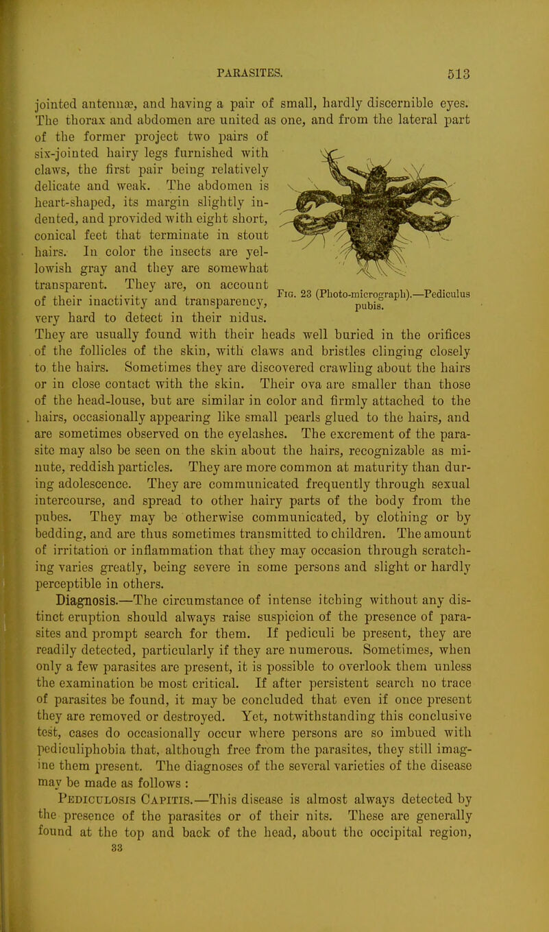 jointed antennae, and having a pair of small, hardly discernible eyes. The thorax and abdomen are united as one, and from the lateral part of the former project two pairs of six-jointed hairy legs furnished with claws, the first pair being relatively delicate and weak. The abdomen is heart-shaped, its margin slightly in- dented, and provided with eight short, conical feet that terminate in stout hairs. In color the insects are yel- lowish gray and they are somewhat transparent. They are, on account « ,, . . i- J . Fig. 23 (Pboto-microrrapli).—Pediculus of their inactivity and transparency, pubis. very hard to detect in their nidus. They are usually found with their heads well buried in the orifices of the follicles of the skin, with claws and bristles clinging closely to the hairs. Sometimes they are discovered crawling about the hairs or in close contact with the skin. Their ova are smaller than those of the head-louse, but are similar in color and firmly attached to the hairs, occasionally appearing like small pearls glued to the hairs, and are sometimes observed on the eyelashes. The excrement of the para- site may also be seen on the skin about the hairs, recognizable as mi- nute, reddish particles. They are more common at maturity than dur- ing adolescence. They are communicated frequently through sexual intercourse, and spread to other hairy parts of the body from the pubes. They may be otherwise communicated, by clothing or by bedding, and are thus sometimes transmitted to children. The amount of irritation or inflammation that they may occasion through scratch- ing varies greatly, being severe in some persons and slight or hardly perceptible in others. Diagnosis.—The circumstance of intense itching without any dis- tinct eruption should always raise suspicion of the presence of para- sites and prompt search for them. If pediculi be present, they are readily detected, particularly if they are numerous. Sometimes, when only a few parasites are present, it is possible to overlook them unless the examination be most critical. If after persistent search no trace of parasites be found, it may be concluded that even if once present they are removed or destroyed. Yet, notwithstanding this conclusive test, cases do occasionally occur where persons are so imbued with pcdiculiphobia that, although free from the parasites, they still imag- ine them present. The diagnoses of the several varieties of the disease may be made as follows : Pediculosis Capitis.—This disease is almost always detected by the presence of the parasites or of their nits. These are generally found at the top and back of the head, about the occipital region, 33