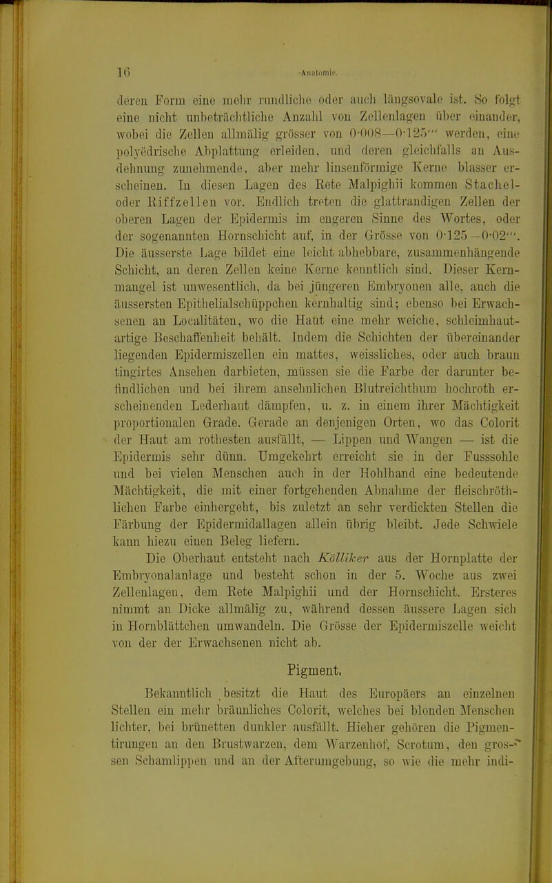 30 ■Aii.-itiiniii'. dereu Form eine iiielir nmdliclie oder auch längsovalc ist. 80 tblo^t eine nicht unbeträchtliche Anzalil von Zellenlageu über einander, Avobei die Zellen allniälig grösser von 0-008—0-12')' werden, eine polyedrisclie Abplattung erleiden, und deren gleichlalls an Aus- dehnung zunehmende, aber mehr linsenförmige T^erno blasser er- scheinen. In diesen Lagen des Eete Malpighii kommen Stachel- oder Riff Zellen vor. Endlich treten die glattraudigen Zellen der oberen Lagen der Epidermis im engereu Sinne des Wortes, oder der sogenannten Hornschicht auf, in der Grösse von 0-125 —0-02'. Die äusserste Lage bildet eine leicht abhebbare, zusammenhängende Schicht, an deren Zellen keine Kerne kenntlich sind. Dieser Kern- mangel ist unwesentlich, da bei jüngeren Embryonen alle, auch die äussersten Epitlielialschüppchen kernhaltig sind; ebenso hei Erwach- senen an Localitäten, wo die Haut eine mehr weiche, schleimhaut- artige Beschaffenheit behält. Indem die Schichten der übereinander liegenden Epidermiszellen ein mattes, weissliches, oder auch braun tingirtes Ansehen darbieten, müssen sie die Farbe der darunter be- findlichen und bei ihrem ansehnlichen Blutreichthum hochroth er- scheinenden Lederhaut dämpfen, u. z. in einem ihrer Mächtigkeit proportionalen Grade. Gerade an denjenigen Orten, wo das Colorit der Haut am rotliesten ausfällt, — Lippen und Wangen — ist die Epidermis selir dünn. Umgekehrt erreicht sie in der Fusssohle und bei vielen Menschen auch in der Hohlhand eine bedeutende Mächtigkeit, die mit einer fortgehenden Abnalime der fleischröth- lichen Farbe einhergeht, bis zuletzt an sehr verdickten Stellen die Färbung der Epidermidallagen allein übrig bleibt. Jede Schwiele kann hiezu einen Beleg liefern. Die Oberhaut entsteht nach Kölliker aus der Hornplatte der Embryonal anläge und besteht schon in der 5. Woche aus zwei Zellenlagen, dem Rete Malpighii und der Hornschicht. Ersteres nimmt an Dicke allmälig zu, während dessen äussere Lagen sich in Hornblättchen vimwandeln. Die Grösse der Epidermiszelle weicht von der der Erwachsenen nicht ab. Pigment. Bekanntlich besitzt die Haut des Europäers an einzelnen Stellen ein mehr bräunliches Colorit, welches bei blonden Älenschen lichter, bei brünetten dunkler ausfällt. Hieher gehören die Pigmen- tirungen an den Brustwarzen, dem Warzenhof, Scrotum, den gros-- sen Schamlippen und an der Afterumgebung, so wie die mehr indi-