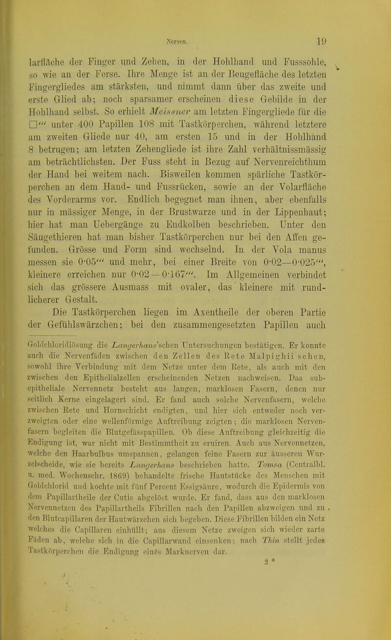 larlliiche der Finger und Zehen, in der Hohlhand und Piisssohle, so wie an der Ferse. Ihre Menge ist an der Beugeääche des letzten Fingergliedes am stärksten, und nimmt dann über das zweite und erste Glied ab; noch sparsamer erscheinen diese Gebilde in der Hohlhand selbst. So erhielt Meissner am letzten Fingergiiede für die □ unter 400 Papillen 108 mit Tastkörperchen, während letztere am zweiten Gliede nur 40, am ersten 15 und in der Hohlhand 8 betrugen-, am letzten Zehengiiede ist ihre Zahl verhältnissmässig am beträchtlichsten. Der Fuss steht in Bezug auf Nerveureichthum der Hand bei weitem nach. Bisweilen kommen spärliche Tastkör- perchen an dem Hand- imd Fussrücken, sowie an der Volarfläche des Vorderarms vor. Endlich begegnet man ihnen, aber ebenfalls nur in mässiger Menge, in der Brustwarze und in der Lippeuhaut; hier hat man üebergänge zu Endkolben beschrieben. Unter den Säugethieren hat man bisher Tastkörperchen nur bei den Affen ge- funden. Grösse und Form sind wechselnd. In der Vola manus messen sie 0-05' und mehr, bei einer Breite von 0-02—0-025'', kleinere erreichen nur 0-02 —0-i67'. Im Allgemeinen verbindet sich das grössere Ausmass mit ovaler, das kleinere mit rund- licherer Gestalt. Die Tastkörperchen liegen im Axentheile der oberen Partie der Gefülilswärzchen; bei den zusammengesetzten Papillen auch Goldchloricllösung die Langerhans'sohcn Untersuchungen bestätigen. Er Iconnte auch die Nervenfilden zwischen den Zellen des Rete Malpighii sehen, sowohl ihre Verbindung mit dem Netze unter dem Eete, als auch mit den zwischen den Epithelialzellen erscheinenden Netzen nachweisen. Das sub- epitheliale Nervennetz besteht aus langen, marklosen Fasern, denen nur seitlich Kerne eingelagert sind. Er fand auch solche Nervenfasern, welche zwischen Eete und Hornschicht endigten, und hier sich entweder noch ver- zweigten oder eine wellenförmige Auftreibung zeigten ; die marklosen Nerven- fasern begleiten die Blutgefässpapillen. Ob diese Auftreibung gleichzeitig die Pjudigung ist, war nicht mit Bestimmtheit zu eruiren. Auch aus Nervennetzen, welche den Haarbulbus umspannen, gelangen feine Fasern zur äusseren Wur- zclscheide, Avie sie bereits Langerhans besclniebcn hatte. Tomsa (Ccntralbl. u. med. Wochenschr. 1869) behandelte frische Hautstücke des Menschen mit Goldchlorid und kochte mit fünf Percent Essigsäure, wodurch die Epidermis von dein Papillartheile der Cutis abgelöst wurde. Er fand, dass aus den marklosen N'ervennetzen des Papillartheils Fibrillen nach den Pa])illen abzweigen und zu . den Blutcapillaren der Hautwärzchen sich begeben. Diese Fibrillen bilden ein Netz welches die Capillaren einhüllt; aus diesem Netze zweigen sich wieder zarte Fäden ab, welche sich in die Capillarwand einsenken; nach Thin stellt jedes Tastkörperchen die Endigung oinc^s Marknerven dar. 2 *