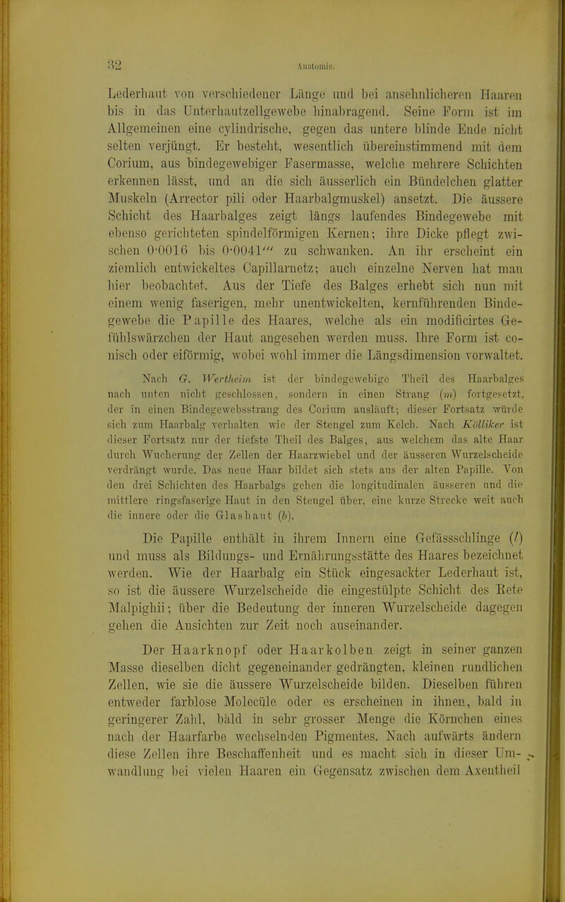 'V2 Aiiuliiliiie. Loderliaut von v(*rscliie(leücr Länge und bei ansolinliclicrpn Haaren bis in das Unterhantzellgewebe liinabragend. Seine Forjn ist im Allgemeinen eine cylindriscbe, gegen das nntere blinde Ende nicht selten verjüngt. Er besteht, wesentlich iibereiustimniend mit dem Corinm, aus bindegewebiger Pasermasse, welche mehrere Schichten erkennen lässt, und an die sich äusserlich ein Bündelchen glatter Muskeln (Arrector pili oder Haarbalgmuskel) ansetzt. Die äussere Schicht des Haarbalges zeigt längs laufendes Bindegewebe mit ebenso gerichteten spindelförmigen Kernen; ihre Dicke pflegt zwi- schen 0-0016 bis 0-0041' zu schwanken. An ihr erscheint ein ziemlich entwickeltes Capillarnetz; auch einzelne Nerven hat man hier beobachtet. Aus der Tiefe des Balges erhebt sicli nun mit einem wenig faserigen, mehr unentwickelten, keruführenden Binde- gewebe die Papille des Haares, welche als ein modificirtes Ge- ITihlswärzclieu der Haut angesehen werden muss. Ihre Form ist co- nisch oder eiförmig, wobei wohl immer die Längsdimension vorwaltet. Nach Cr. Wertkeim ist der bindegewehig'c Tlieil des Haarbalges nacli unten nicht geschlossen, sondern in einen Strang (w) fortgesetzt, der in einen Bindegewebsstrang des Corium ausläuft; dieser Fortsatz würde sich zum Haarbalg verlialtcn wie der Stengel zum Kelcli. Nach KöUikcr ist dieser Fortsatz nur der tiefste Theil des Balges, aus welchem das alte Haar durch Wucherung der Zellen der Haarzwiebel und der äusseren Wurzelscheide verdrängt wurde. Das neue Haar bildet sich stets aus der alten Papille. Von den drei Schichten des Haarbalgs gehen die longitudinalen äusseren und die mittlere ringsfaserige Haut in den Stengel über, eine kurze Strecke weit auch <lie innere oder die Glasliaut {b). Die Papille enthält in ihrem Lmern eine Gefässschlinge (/) und muss als Bilduugs- und Ernährungsstätte des Haares bezeichnet werden. Wie der Haarbalg ein Stück eingesackter Lederhaut ist, so ist die äussere Wurzelscheide die eingestülpte Schicht des Kete Malpighii; über die Bedeutung der inneren Wurzelscheide dagegen gehen die Ansichten zur Zeit noch auseinander. Der Haarknopf oder Haarkolben zeigt in seiner ganzen Masse dieselben dicht gegeneinander gedrängten, kleinen rundlichen Zellen, wie sie die äussere Wurzelscheide bilden. Dieselben füliren entweder farblose Molecüle oder es erscheinen in ilmen, bald in geringerer Zahl, bald in sehr grosser Menge die Körnchen eine.s nach der Haarfarbe wechselnden Pigmentes. Nach aufwärts ändern diese Zellen ihre Beschaffenheit und es macht sich in dieser Um- wandlinig bei vielen Haaren ein Gegensatz zwiselien dem Axentheil