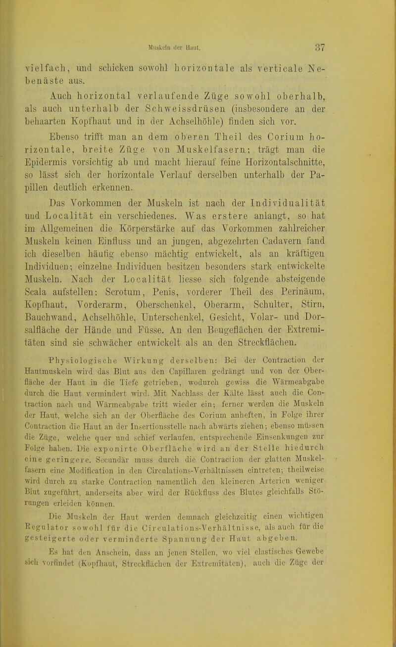 vielfach, und schicken sowohl horizontale als verticale Ne- benäste aus. Auch horizontal verlaufende Züge sowohl oberhalb, als auch unterhalb der Schweissdrüsen (insbesondere an der behaarten Kopfhaut und in der Achselhöhle) finden sich vor. Ebenso trifft man an dem oberen Theil des Corium ho- rizontale, breite Züge von Muskelfasern; trägt man die Epidermis vorsichtig ab und macht hierauf feine Horizontalschnitte, so lässt sicli der horizontale Verlauf derselben unterhalb der Pa- pillen deutlich erkennen. Das Vorkommen der Muskeln ist nach der Individualität uud Localität ein verschiedenes. Was erstere anlangt, so hat im Allgemeinen die Körperstärke auf das Vorkommen zahlreicher Muskeln keinen Einfluss und an jungen, abgezehrten Cadavern fand ich dieselben häufig ebenso mächtig entwickelt, als an kräftigen Individueu; einzelne Individuen besitzen besonders stark entwickelte Muskeln. Nach der Localität liesse sich folgende absteigende Scala aufstellen: Scrotum, Penis, vorderer Theil des Perinäum, Kopfhaut, Vorderarm, Oberschenkel, Oberarm, Schulter, Stirn, Bauchwand, Achselliöhle, Unterschenkel, Gesicht, Volar- uud Dor- salfläche der Hände und Füsse. An den Beugeflächen der Extremi- täten sind sie schwächer entwickelt als an den Streckflächen. Physiologische Wirkung derselben: Bei der Contraction der Haulmuskeln -wird das Blut aus den Capillaren gedrängt und von der Ober- fläche der Haut in die Tiefe getrieben, wodurch gewiss die Wärmeabgabe durch die Haut vermindert wird. Mit Nachlass der Kälte lässt auch die Con- traction nadi und Wärmeabsrabe tritt wieder ein-, ferner werden die Muskeln der Hairt, welche sich an der Oberfläche des Corium anheften, in Folge ihrer Contraction die Haut an der Insertionsstelle nach abwärts ziehen; ebenso müssen die Züge, welche quer und schief verlaufen, entsprechende Einsenkungen zur Folge haben. Die exponirte Oberfläche wird an der Stelle hiedurch eine geringere. Secundär mass durch die Contraclion der glatten Muskel- fasern eine Modification in den Circulations-A''erhältnissen eintreten; theilweise wird durch zu starke Contraction namentlich den kleineren Arterien weniger Blut zugeführt, anderseits aber wird der Eüclifluss des Blutes gleichfalls Stö- rungen erleiden können. Die Muskeln der Haut werden demnach gleichzeitig einen wichtigen Regulator sowohl für die Circulations-Verhältnisse, als auch für die gesteigerte oder verminderte Spannung der Haut abgeben. Es hat den Anschein, dass an jenen Stellen, wo viel elastisches Gewebe bich vorfindet (Kopfhaut, Streckflächen der Extremitäten), auch die Züge der