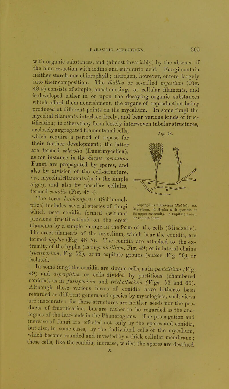 Fig. 48. with organic substances, and (almost invariably) by the absence of the blue re-action witli iodine and sulphuric acid. Fungi contain neither starch nor chlorojDhyll; nitrogen, hovrever, enters largely into their composition. Tlie thallus or so-called mycelium (Fig. 48 a) consists of simple, anastomosing, or cellular filaments, and is developed either in or upon the decaying organic substances which afibrd them nourishment, the organs of reproduction being produced at dijSferent points on the mycelium. In some fungi the mycelial filaments interlace freely, and bear various kinds of fruc- tification ; in others they form loosely interwoven tubular structures, or closely aggregated filaments and cells, which require a period of repose for their further development; the latter are termed sclerotia (Dauermycelien), as for instance in the Secale cornutum. Fungi are propagated by spores, and also by division of the cell-structure, i.e., mycelial filaments (as in the simple algoo), and also by peculiar cellules, termed conidia (Fig. 48 c). The term hyphomycetes (Schimmel- pilza; includes several species of fungi which bear conidia formed (without previous fructification) on the erect filaments by a simple change in the form of the cells (Gliedzelle). The erect filaments of the mycelium, which bear the conidia, d]'o termed hyphce. (Fig. 48 h). The conidia are attached to the ex- tremity of the hypha (as in penicillium, Fig. 49) or iu lateral chains (fusisporium, Fig. 53), or in capitate groups [mucor. Fio-. 50), or isolated. ° In some fungi the conidia are simple cells, as in penicillium (Fig. 49)^ and aspercjillus, or cells divided by partitions (chambered conidia), as in fusisporium and triclioihecium (Figs. 63 and 66). Although these various forms of conidia have hitherto been regarded as different genera and species by mycologist s, such views are inaccurate : for these structures are neither seeds nor the pro- ducts of fructification, but are rather to be regarded as the ana- logues of the leaf-buds in the Phanerogams. The propagation and increase of fungi arc effected not only by the spores and conidia, but also, in some cases, by the individual cells of the mycelium, which become rounded and invested by a thick cellular membrane • these cells, like the conidia, increase, whilst the spores are destined Asprr^'illus nigrescens (Holin). an. My>:eliam. b. Hypha with sporidi.i at its upper extremity, c. Capitate group or conidia chain.