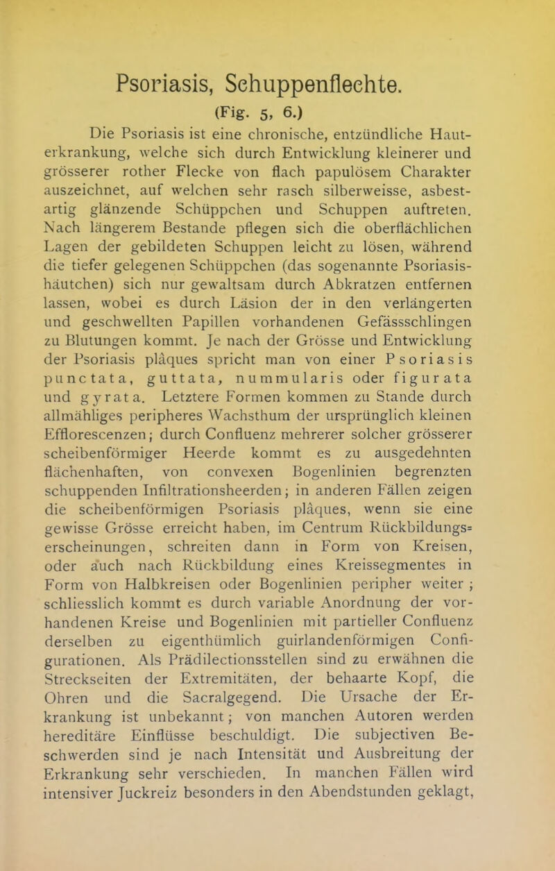 Psoriasis, Sehuppenfleehte. (Fig. 5, 6.) Die Psoriasis ist eine chronische, entzündliche Haut- erkrankung, welche sich durch Entwicklung kleinerer und grösserer rother Flecke von flach papulösem Charakter auszeichnet, auf welchen sehr rasch silberweisse, asbest- artig glänzende Schüppchen und Schuppen auftreten. Nach längerem Bestände pflegen sich die oberflächlichen Lagen der gebildeten Schuppen leicht zu lösen, während die tiefer gelegenen Schüppchen (das sogenannte Psoriasis- häutchen) sich nur gewaltsam durch Abkratzen entfernen lassen, wobei es durch Läsion der in den verlängerten und geschwellten Papillen vorhandenen Gefässschlingen zu Blutungen kommt. Je nach der Grösse und Entwicklung der Psoriasis plaques spricht man von einer Psoriasis punctata, guttata, nummularis oder figurata und gyrata. Letztere Formen kommen zu Stande durch allmähliges peripheres Wachsthum der ursprünglich kleinen Efflorescenzen; durch Confluenz mehrerer solcher grösserer scheibenförmiger Heerde kommt es zu ausgedehnten flächenhaften, von convexen Bogenlinien begrenzten schuppenden Infiltrationsheerden; in anderen Fällen zeigen die scheibenförmigen Psoriasis plaques, wenn sie eine gewisse Grösse erreicht haben, im Centrum Rückbildungs= erscheinungen, schreiten dann in Form von Kreisen, oder auch nach Rückbildung eines Kreissegmentes in Form von Halbkreisen oder Bogenlinien peripher weiter ; schliesslich kommt es durch variable Anordnung der vor- handenen Kreise und Bogenlinien mit partieller Confluenz derselben zu eigenthümlich guirlandenförmigen Confi- gurationen. Als Prädilectionsstellen sind zu erwähnen die Streckseiten der Extremitäten, der behaarte Kopf, die Ohren und die Sacralgegend. Die Ursache der Er- krankung ist unbekannt; von manchen Autoren werden hereditäre Einflüsse beschuldigt. Die subjectiven Be- schwerden sind je nach Intensität und Ausbreitung der Erkrankung sehr verschieden. Li manchen Fällen wird intensiver Juckreiz besonders in den Abendstunden geklagt.