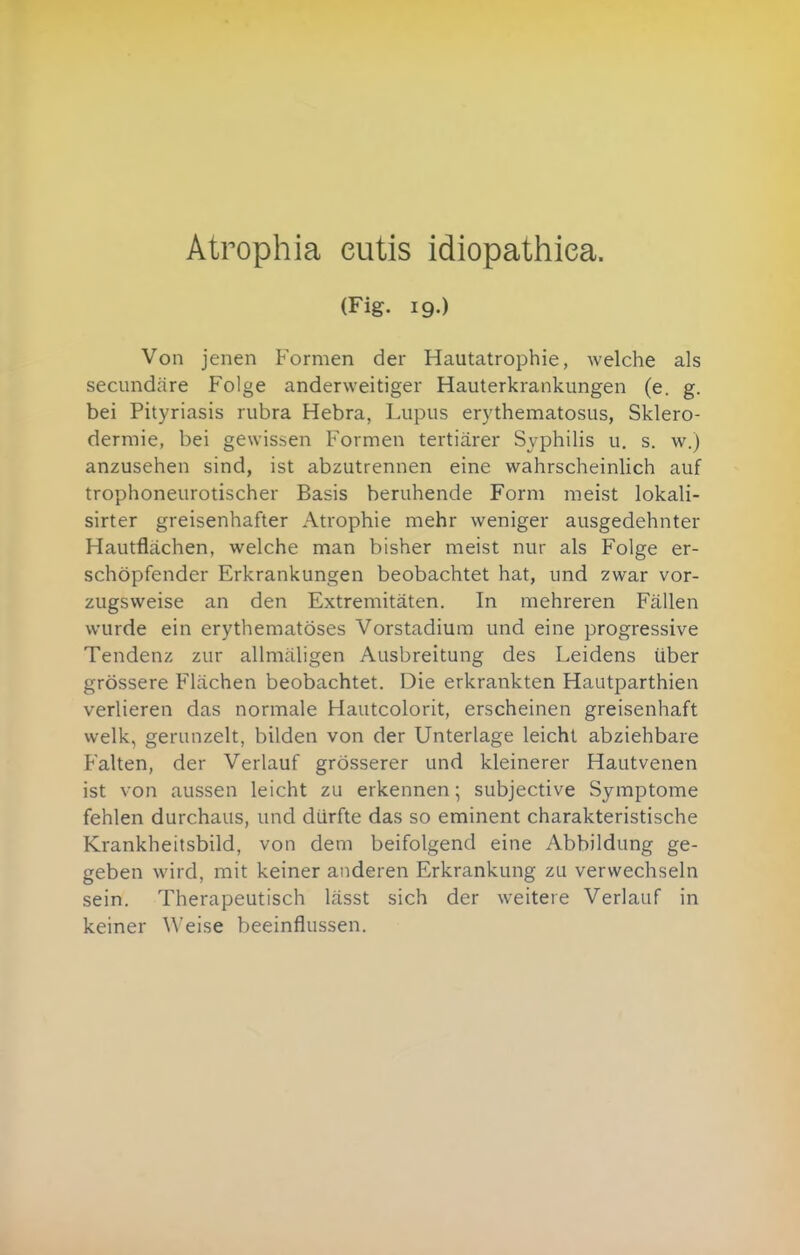 Atrophia cutis idiopathiea. (Fig. 19.) Von jenen Formen der Hautatrophie, welche als secundäre Folge anderweitiger Hauterkrankungen (e. g. bei Pityriasis rubra Hebra, Lupus erythennatosus, Sklero- dermie, bei gewissen Formen tertiärer Syphilis u. s. w.) anzusehen sind, ist abzutrennen eine wahrscheinlich auf trophoneurotischer Basis beruhende Form meist lokali- sirter greisenhafter Atrophie mehr weniger ausgedehnter Hautflächen, welche man bisher meist nur als Folge er- schöpfender Erkrankungen beobachtet hat, und zwar vor- zugsweise an den Extremitäten. In mehreren Fällen wurde ein erythematöses Vorstadium und eine progressive Tendenz zur allmäligen Ausbreitung des Leidens über grössere Flächen beobachtet. Die erkrankten Hautparthien verlieren das normale Hautcolorit, erscheinen greisenhaft welk, gerunzelt, bilden von der Unterlage leicht abziehbare Falten, der Verlauf grösserer und kleinerer Hautvenen ist von aussen leicht zu erkennen; subjective Symptome fehlen durchaus, und dürfte das so eminent charakteristische Krankheitsbild, von dem beifolgend eine Abbildung ge- geben wird, mit keiner anderen Erkrankung zu verwechseln sein. Therapeutisch lässt sich der weitere Verlauf in keiner Weise beeinflussen.
