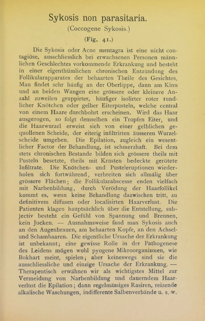 Sykosis non parasitaria. (Coccogene Sykosis.) (Fig. 41.) Die Sykosis oder Acne mentagra ist eine nicht con- tagiöse, ausschliesslich bei erwachsenen Personen männ- lichen Geschlechtes vorkommende Erkrankung und besteht in einer eigenthümlichen chronischen Entzündung des Follikularapparates der behaarten Theile des Gesichtes. Man findet sehr häufig an der Oberlippe, dann am Kinn und an beiden Wangen eine grössere oder kleinere An- zahl zuweilen gruppirter, häufiger isolirter roter rund- licher Knötchen oder gelber Eiterpusteln, welche central von einem Haare durchbohrt erscheinen. Wird das Haar ausgezogen, so folgt demselben ein Tropfen Eiter, und die Haarwurzel erweist sich von einer gelblichen ge- quollenen Scheide, der eiterig infiltrirten äusseren Wurzel- scheide umgeben. Die Epilation, zugleich ein wesent- licher Factor der Behandlung, ist schmerzhaft. Bei dem stets chronischen Bestände bilden sich grössere theils mit Pusteln besetzte, theils mit Krusten bedeckte gerötete Infiltrate. Die Knötchen- und Pusteleruptionen wieder- holen sich fortwährend, verbreiten sich allmälig über grössere Flächen; die FolHkularabscesse enden vielfach mit Narbenbildung, durch Verödung der Haarfollikel kommt es, wenn keine Behandlung dazwischen tritt, zu definitivem diffusen oder localisirten Haarverlust. Die Patienten klagen hauptsächlich über die Entstellung, sub- jectiv besteht ein Gefühl von Spannung und Brennen, kein Jucken. — Ausnahmsweise fand man Sykosis auch an den Augenbrauen, am behaarten Kopfe, an den Achsel- und Schamhaaren. Die eigentliche Ursache der Erkrankung ist unbekannt; eine gewisse Rolle in der Pathogenese des Leidens mögen wohl pyogene Mikroorganismen, wie Bokhart meint, spielen; aber keineswegs sind sie die ausschliessliche und einzige Ursache der Erkrankung. — Therapeutisch erwähnen wir als wichtigstes Mittel zur Vermeidung von Narbenbildung und dauerndem Haar- verlust die Epilation; dann regelmässiges Rasiren, reizende alkalische Waschungen, indifferente Salbenverbände u. s. w.