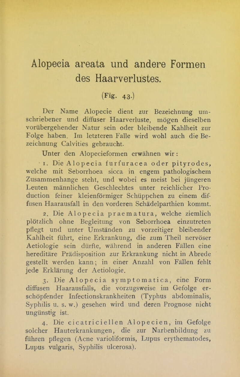 Alopecia areata und andere Formen des Haarverlustes. (Fig. 43.) Der Name Alopecie dient zur Bezeichnung um- schriebener und diffuser Haarverluste, mögen dieselben vorübergehender Natur sein oder bleibende Kahlheit zur Folge haben. Im letzteren Falle wird wohl auch die Be- zeichnung Calvities gebraucht. Unter den Alopecieformen erwähnen wir: 1. Die Alopecia furfuracea oder pityrodes, welche mit Seborrhoea sicca in engem pathologischem Zusammenhange steht, und wobei es meist bei jüngeren Leuten männlichen Geschlechtes unter reichlicher Pro- duction feiner kleienförmiger Schüppchen zu einem dif- fusen Haarausfall in den vorderen Schädelparthien kommt. 2. Die Alopecia praematura, welche ziemlich plötzlich ohne Begleitung von Seborrhoea einzutreten pflegt und unter Umständen zu vorzeitiger bleibender Kahlheit führt, eine Erkrankung, die zum Theil nervöser Aetiologie sein dürfte, während in anderen Fällen eine hereditäre Prädisposition zur Erkrankung nicht in Abrede gestellt werden kann; in einer Anzahl von Fällen fehlt jede Erklärung der Aetiologie. 3. Die Alopecia symptomatica, eine Form diffusen Haarausfalls, die vorzugsweise im Gefolge er- schöpfender Infectionskrankheiten (Typhus abdominalis, Syphilis u. s. w.) gesehen wird und deren Prognose nicht ungünstig ist. 4. Die cicatriciellen Alopecien, im Gefolge solcher Hauterkrankungen, die zur Narbenbildung zu führen pflegen (Acne varioliformis, Lupus erythematodes, Lupus vulgaris, Syphilis ulcerosa).