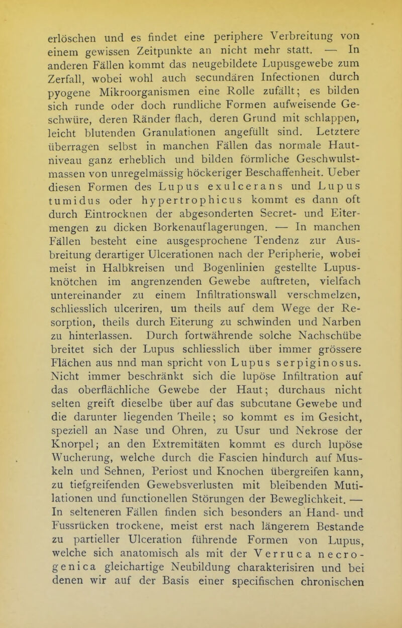 erlöschen und es findet eine periphere Verbreitung von einem gewissen Zeitpunkte an nicht mehr statt. — In anderen Fällen kommt das neugebildete Lupusgewebe zum Zerfall, wobei wohl auch secundären Infectionen durch pyogene Mikroorganismen eine Rolle zufällt; es bilden sich runde oder doch rundliche Formen aufweisende Ge- schwüre, deren Ränder flach, deren Grund mit schlappen, leicht blutenden Granulationen angefüllt sind. Letztere überragen selbst in manchen Fällen das normale Haut- niveau ganz erheblich und bilden förmliche Geschwulst- massen von unregelmässig höckeriger Beschaffenheit. Ueber diesen Formen des Lupus exulcerans und Lupus tumidus oder hypertrophicus kommt es dann oft durch Eintrocknen der abgesonderten Secret- und Eiter- mengen zu dicken Borkenauflagerungen. — In manchen Fällen besteht eine ausgesprochene Tendenz zur Aus- breitung derartiger Ulcerationen nach der Peripherie, wobei meist in Halbkreisen und Bogenlinien gestellte Lupus- knötchen im angrenzenden Gewebe auftreten, vielfach untereinander zu einem Infiltrationswall verschmelzen, schliesslich ulceriren, um theils auf dem Wege der Re- sorption, theils durch Eiterung zu schwinden und Narben zu hinterlassen. Durch fortwährende solche Nachschübe breitet sich der Lupus schliesslich über immer grössere Flächen aus nnd man spricht von Lupus serpiginosus. Nicht immer beschränkt sich die lupöse Infiltration auf das oberflächliche Gewebe der Haut; durchaus nicht selten greift dieselbe über auf das subcutane Gewebe und die darunter liegenden Theile; so kommt es im Gesicht, speziell an Nase und Ohren, zu Usur und Nekrose der Knorpel; an den Extremitäten kommt es durch lupöse Wucherung, welche durch die Fascien hindurch auf Mus- keln und Sehnen, Periost und Knochen übergreifen kann, zu tiefgreifenden Gewebsverlusten mit bleibenden Muti- lationen und functionellen Störungen der Beweglichkeit. — In selteneren Fällen finden sich besonders an Hand- und Fussrücken trockene, meist erst nach längerem Bestände zu partieller Ulceration führende Formen von Lupus, welche sich anatomisch als mit der Verruca necro- genica gleichartige Neubildung charakterisiren und bei denen wir auf der Basis einer specifischen chronischen