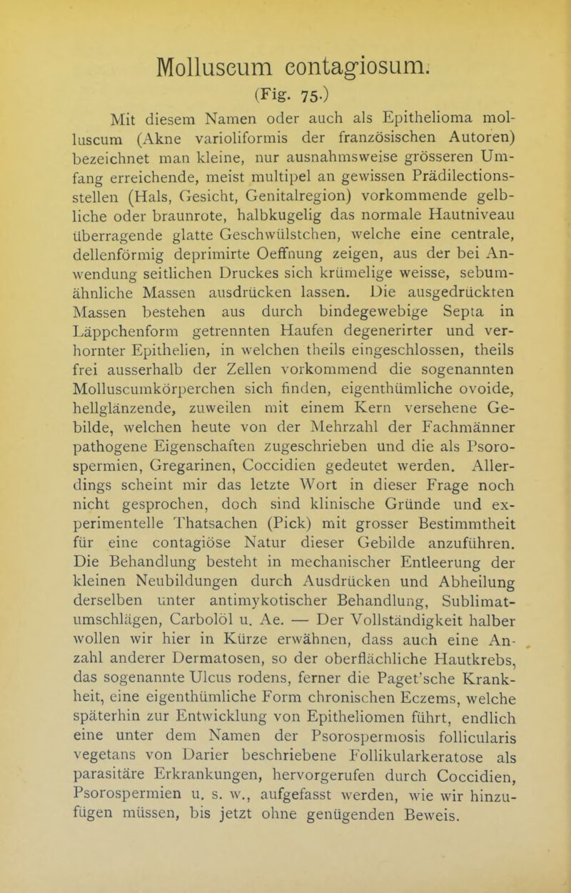 Molluscum contagiosum. (Fig. 75-) Mit diesem Namen oder auch als Epithelioma mol- luscum (Akne varioliformis der französischen Autoren) bezeichnet man kleine, nur ausnahmsweise grösseren Um- fang erreichende, meist multipel an gewissen Prädilections- stellen (Hals, Gesicht, Genitalregion) vorkommende gelb- liche oder braunrote, halbkugelig das normale Hautniveau überragende glatte Geschwülstchen, welche eine centrale, dellenförmig deprimirte Oeffnung zeigen, aus der bei An- wendung seitlichen Druckes sich krümelige weisse, sebum- ähnliche Massen ausdrücken lassen. Die ausgedrückten Massen bestehen aus durch bindegewebige Septa in Läppchenform getrennten Haufen degenerirter und ver- hornter Epithelien, in welchen theils eingeschlossen, theils frei ausserhalb der Zellen vorkommend die sogenannten Molluscumkörperchen sich finden, eigenthümliche ovoide, hellglänzende, zuweilen mit einem Kern versehene Ge- bilde, welchen heute von der Mehrzahl der Fachmänner pathogene Eigenschaften zugeschrieben und die als l'soro- spermien, Gregarinen, Coccidien gedeutet werden. Aller- dings scheint mir das letzte Wort in dieser Frage noch nicht gesprochen, doch sind klinische Gründe und ex- perimentelle Thatsachen (Pick) mit grosser Bestimmtheit für eine contagiöse Natur dieser Gebilde anzuführen. Die Behandlung besteht in mechanischer Entleerung der kleinen Neubildungen durch Ausdrücken und Abheilung derselben unter antimykotischer Behandlung, Sublimat- umschlägen, Carbolöl u. Ae. — Der Vollständigkeit halber wollen wir hier in Kürze erwähnen, dass auch eine An- zahl anderer Dermatosen, so der oberflächliche Hautkrebs, das sogenannte Ulcus rodens, ferner die Paget'sche Krank- heit, eine eigenthümliche Form chronischen Eczems, welche späterhin zur Entwicklung von Epitheliomen führt, endlich eine unter dem Namen der Psorosperniosis follicularis vegetans von Darier beschriebene Follikularkeratose als parasitäre Erkrankungen, hervorgerufen durch Coccidien, Psorospermien u. s. w., aufgefasst werden, wie wir hinzu- fügen müssen, bis jetzt ohne genügenden Beweis.