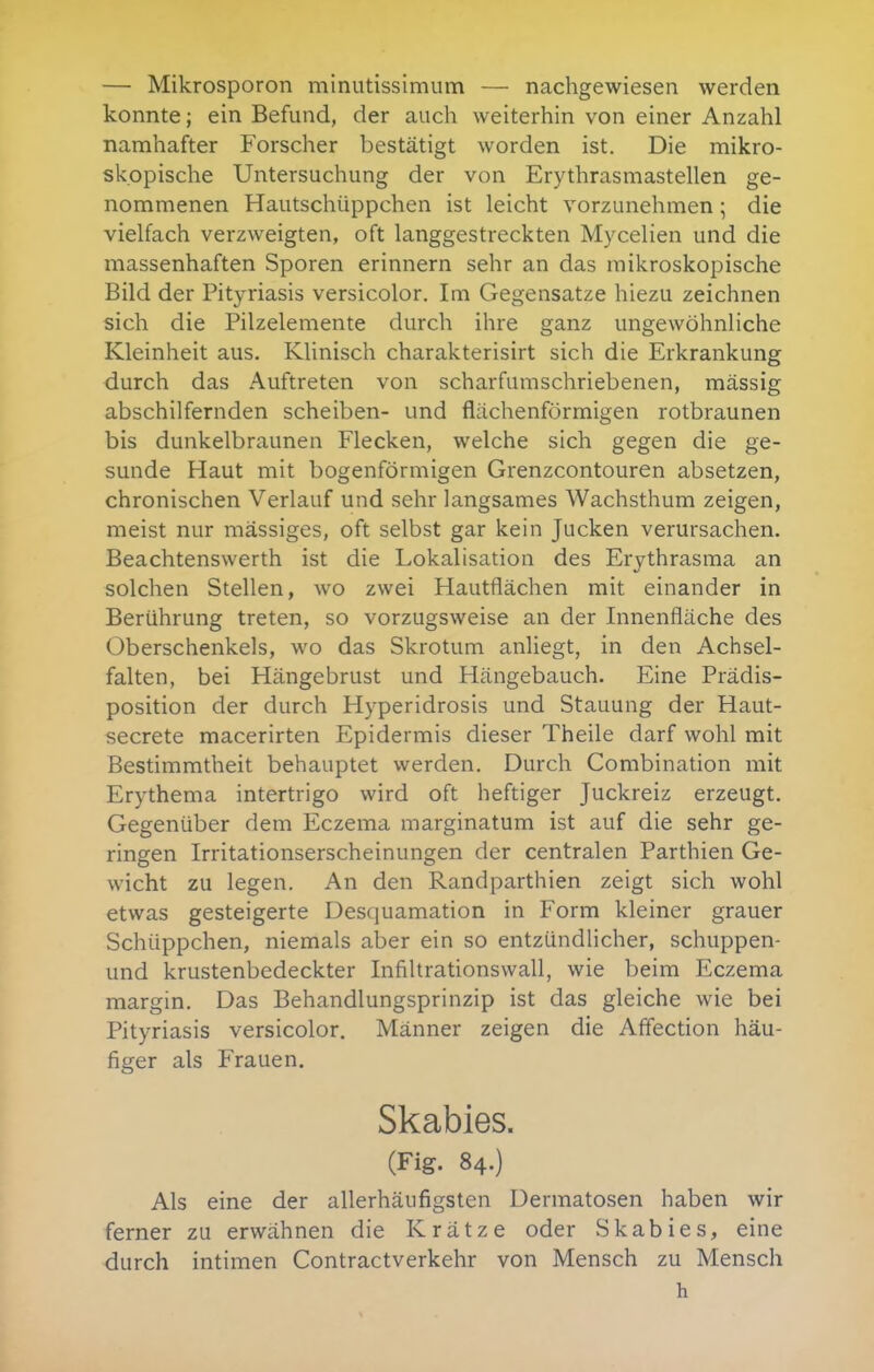 — Mikrosporon minutissimum — nachgewiesen werden konnte; ein Befund, der auch weiterhin von einer Anzahl namhafter Forscher bestätigt worden ist. Die mikro- skopische Untersuchung der von Erythrasmastellen ge- nommenen Hautschüppchen ist leicht vorzunehmen; die vielfach verzweigten, oft langgestreckten Mycelien und die massenhaften Sporen erinnern sehr an das mikroskopische Bild der Pityriasis versicolor. Im Gegensatze hiezu zeichnen sich die Pilzelemente durch ihre ganz ungewöhnliche Kleinheit aus. Klinisch charakterisirt sich die Erkrankung durch das Auftreten von scharfumschriebenen, massig abschilfernden Scheiben- und flächenförmigen rotbraunen bis dunkelbraunen Flecken, welche sich gegen die ge- sunde Haut mit bogenförmigen Grenzcontouren absetzen, chronischen Verlauf und sehr langsames Wachsthum zeigen, meist nur mässiges, oft selbst gar kein Jucken verursachen. Beachtenswerth ist die Lokalisation des Erythrasma an solchen Stellen, wo zwei Hautflächen mit einander in Berührung treten, so vorzugsweise an der Innenfläche des Oberschenkels, wo das Skrotum anliegt, in den Achsel- falten, bei Hängebrust und Hängebauch. Eine Prädis- position der durch Hyperidrosis und Stauung der Haut- secrete macerirten Epidermis dieser Theile darf wohl mit Bestimmtheit behauptet werden. Durch Combination mit Erythema intertrigo wird oft heftiger Juckreiz erzeugt. Gegenüber dem Eczema marginatum ist auf die sehr ge- ringen Irritationserscheinungen der centralen Parthien Ge- wicht zu legen. An den Randparthien zeigt sich wohl etwas gesteigerte Desquamation in Form kleiner grauer Schüppchen, niemals aber ein so entzündlicher, schuppen- und krustenbedeckter Infiltrationswall, wie beim Eczema margin. Das Behandlungsprinzip ist das gleiche wie bei Pityriasis versicolor, Männer zeigen die Affection häu- figer als Frauen. Skabies. (Fig. 84.) Als eine der allerhäufigsten Dermatosen haben wir ferner zu erwähnen die Krätze oder Skabies, eine durch intimen Contractverkehr von Mensch zu Mensch h