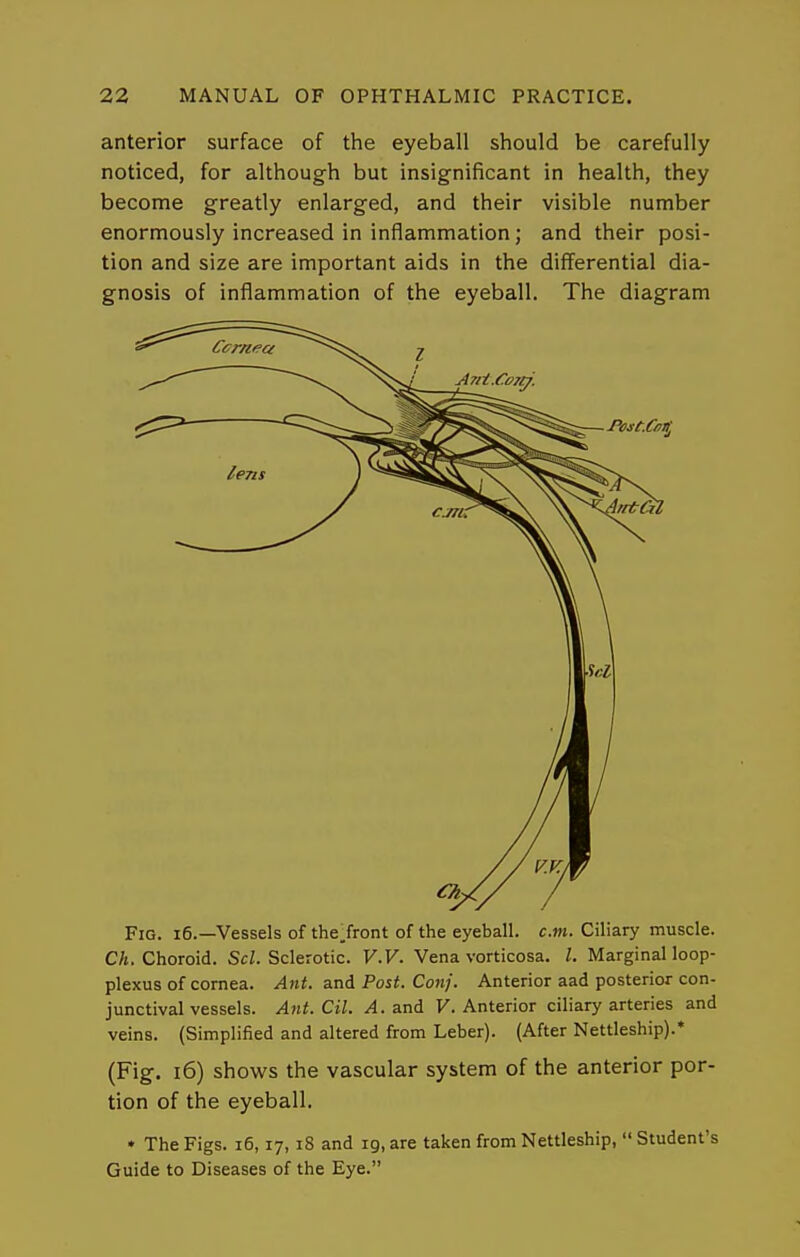 anterior surface of the eyeball should be carefully noticed, for although but insignificant in health, they become greatly enlarged, and their visible number enormously increased in inflammation; and their posi- tion and size are important aids in the differential dia- gnosis of inflammation of the eyeball. The diagram Fig. i6.—Vessels of the,front of the eyeball, cm. Ciliary muscle. CA. Choroid. Sc/. Sclerotic. V.V. Vena vorticosa. I. Marginal loop- plexus of cornea. Ant. a.nA Post. Conj. Anterior aad posterior con- junctival vessels. Ant. Cil. A. and F. Anterior ciliary arteries and veins. (Simplified and altered from Leber). (After Nettleship).* (Fig. i6) shows the vascular system of the anterior por- tion of the eyeball. • The Figs. i6,17, 18 and 19, are taken from Nettleship, Student's Guide to Diseases of the Eye.