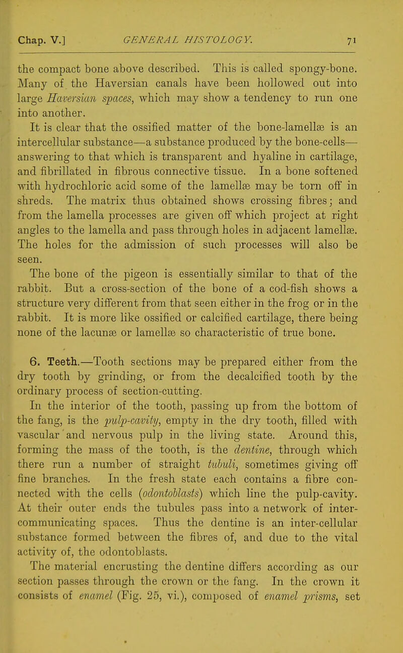 the compact bone above described. This is called spongy-bone. Many of the Haversian canals have been hollowed out into large Haversian spaces, which may show a tendency to run one into another. It is clear that the ossiiied matter of the bone-lamellse is an intercellular substance—a substance produced by the bone-cells— answering to that which is transparent and hyaline in cartilage, and fibrillated in fibrous connective tissue. In a bone softened with hydrochloric acid some of the lamellae may be torn ofi in shreds. The matrix thus obtained shows crossing fibres; and from the lamella processes are given off which project at right angles to the lamella and pass through holes in adjacent lamellae. The holes for the admission of such processes will also be seen. The bone of the pigeon is essentially similar to that of the rabbit. But a cross-section of the bone of a cod-fish shows a structure very different from that seen either in the frog or in the rabbit. It is more like ossified or calcified cartilage, there being none of the lacunae or lamellae so characteristic of true bone. 6. Teeth.—Tooth sections may be prepared either from the dry tooth by grinding, or from the decalcified tooth by the ordinary process of section-cutting. In the interior of the tooth, passing up from the bottom of the fang, is the imlp-cavity, empty in the dry tooth, filled with vascular and nervous pulp in the living state. Around this, forming the mass of the tooth, is the dentine, through which there run a number of straight tubuli, sometimes giving off fine branches. In the fresh state each contains a fibre con- nected with the cells (odontoblasts) which line the pulp-cavity. At their outer ends the tubules pass into a network of inter- communicating spaces. Thus the dentine is an inter-cellular siibstance formed between the fibres of, and due to the vital activity of, the odontoblasts. The material encrusting the dentine differs according as our section passes through the crown or the fang. In the crown it consists of enamel (Fig. 25, vi.), composed of enamel prisms, set