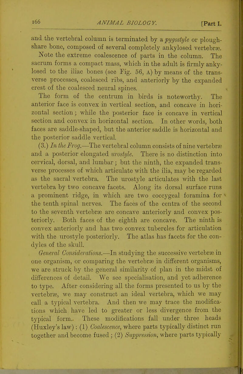 and the vertebral column is terminated by a pygostyle or plough- share bone, composed of several completely ankylosed vertebrae. Note the extreme coalescence of parts in the column. The sacrum forms a compact mass, which in the adult is firmly anky- losed to the iliac bones (see Fig. 56, a) by means of the trans- verse processes, coalesced ribs, and anteriorly by the expanded crest of the coalesced neural spines. The form of the centrum in birds is noteworthy. The anterior face is convex in vertical section, and concave in hori- zontal section; while the posterior face is concave in vertical section and convex in horizontal section. In other words, both faces are saddle-shaped, but the anterior saddle is horizontal and the posterior saddle vertical. (3.) In the Frog.—The vertebral column consists of nine vertebra and a posterior elongated urostyle. There is no distinction into cervical, dorsal, and lumbar; but the ninth, the expanded trans- verse processes of which articulate with the ilia, may be regarded as the sacral vertebra. The urostyle articulates ■\vath the last vertebra by two concave facets. Along its dorsal surface runs a prominent ridge, in which are two coccygeal foramina for ^ the tenth spinal nerves. The faces of the centra of the second to the seventh vertebrae are concaA'e anteriorly and convex pos- teriorlj^ Both faces of the eighth are concave. The ninth is convex anteriorly and has two convex tubercles for articulation with the urostyle posteriorly. The atlas has facets for the con- dyles of the skull. General Considerations.-—In studying the successive vertebrae in one organism, or comparing the vertebrae in different organisms, we are struck by the general similarity of plan in the midst of differences of detail. We see specialisation, and yet adherence to type. After considering all the forms presented to us hy the vertebrae, we may construct an ideal vertebra, which we may call a typical vertebra. And then we may trace the modifica- tions wliich have led to greater or less divergence from the typical form.. These modifications fall under three heads (Huxley's law): (1) Coalescence, where parts typically distinct run together and become fused; (2) Suppression, v/h.&rQ parts tiJ^pically