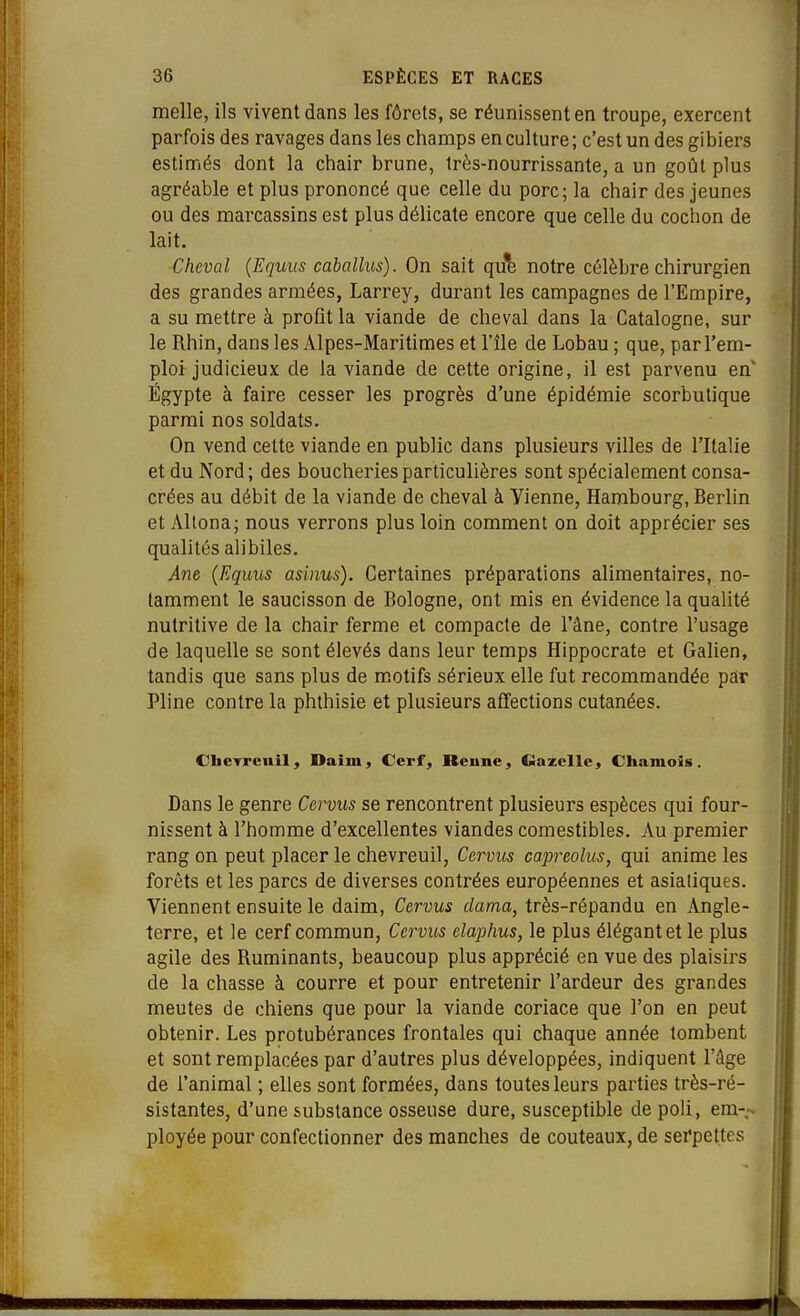 melle, ils vivent dans les fôrets, se réunissent en troupe, exercent parfois des ravages dans les champs en culture ; c'est un des gibiers estimés dont la chair brune, très-nourrissante, a un goût plus agréable et plus prononcé que celle du porc; la chair des jeunes ou des marcassins est plus délicate encore que celle du cochon de lait. Cheval (Equus caballus). On sait qu*e notre célèbre chirurgien des grandes armées, Larrey, durant les campagnes de l'Empire, a su mettre à profit la viande de cheval dans la Catalogne, sur le Rhin, dans les Alpes-Maritimes et l'île de Lobau ; que, par l'em- ploi judicieux de la viande de cette origine, il est parvenu en' Ègypte à faire cesser les progrès d'une épidémie scorbutique parmi nos soldats. On vend cette viande en public dans plusieurs villes de l'Italie et du Nord; des boucheries particulières sont spécialement consa- crées au débit de la viande de cheval à Vienne, Hambourg, Berlin et Altona; nous verrons plus loin comment on doit apprécier ses qualités alibiles. Ane (Equus asiiius). Certaines préparations alimentaires, no- tamment le saucisson de Bologne, ont mis en évidence la qualité nutritive de la chair ferme et compacte de l'âne, contre l'usage de laquelle se sont élevés dans leur temps Hippocrate et Galien, tandis que sans plus de motifs sérieux elle fut recommandée par Pline contre la phthisie et plusieurs affections cutanées. CIieTrenil, Daim, Cerf, Renne, Gazelle, Chamois. Dans le genre Cervus se rencontrent plusieurs espèces qui four- nissent à l'homme d'excellentes viandes comestibles. Au premier rang on peut placer le chevreuil, Cervus capreolus, qui anime les forêts et les parcs de diverses contrées européennes et asiatiques. Viennent ensuite le daim, Cervus clama, très-répandu en Angle- terre, et le cerf commun, Cervus elaphus, le plus élégant et le plus agile des Ruminants, beaucoup plus apprécié en vue des plaisirs de la chasse à courre et pour entretenir l'ardeur des grandes meutes de chiens que pour la viande coriace que l'on en peut obtenir. Les protubérances frontales qui chaque année tombent et sont remplacées par d'autres plus développées, indiquent l'âge de l'animal ; elles sont formées, dans toutes leurs parties très-ré- sistantes, d'une substance osseuse dure, susceptible de poli, em-~ ployée pour confectionner des manches de couteaux, de sei'pettes