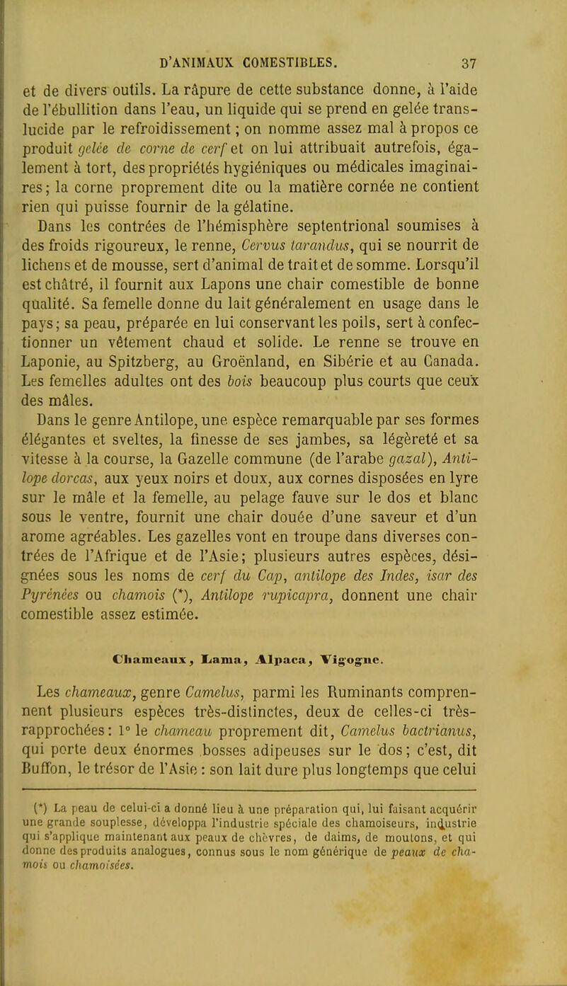 et de divers outils. La râpure de cette substance donne, à l'aide de l'ébuUition dans l'eau, un liquide qui se prend en gelée trans- lucide par le refroidissement ; on nomme assez mal à propos ce produit gelée de corne de cerf et on lui attribuait autrefois, éga- lement à tort, des propriétés hygiéniques ou médicales imaginai- res ; la corne proprement dite ou la matière cornée ne contient rien qui puisse fournir de la gélatine. Dans les contrées de l'hémisphère septentrional soumises à des froids rigoureux, le renne, Cervus tarandus, qui se nourrit de lichens et de mousse, sert d'animal de trait et de somme. Lorsqu'il est châtré, il fournit aux Lapons une chair comestible de bonne qualité. Sa femelle donne du lait généralement en usage dans le pays; sa peau, préparée en lui conservant les poils, sert à confec- tionner un vêtement chaud et solide. Le renne se trouve en Laponie, au Spitzberg, au Groenland, en Sibérie et au Canada. Les femelles adultes ont des bois beaucoup plus courts que ceux des mâles. Dans le genre Antilope, une espèce remarquable par ses formes élégantes et sveltes, la finesse de ses jambes, sa légèreté et sa vitesse à la course, la Gazelle commune (de l'arabe gazai). Anti- lope dorcas, aux yeux noirs et doux, aux cornes disposées en lyre sur le mâle et la femelle, au pelage fauve sur le dos et blanc sous le ventre, fournit une chair douée d'une saveur et d'un arôme agréables. Les gazelles vont en troupe dans diverses con- trées de l'Afrique et de l'Asie; plusieurs autres espèces, dési- gnées sous les noms de cerf du Cap, antilope des Indes, isar des Pyrénées ou chamois (*), Antilope rupicapra, donnent une chair comestible assez estimée. Chameaux ; liama, Alpaca^ Vig^og^nc. Les chameaux, genre Camelus, parmi les Ruminants compren- nent plusieurs espèces très-distinctes, deux de celles-ci très- rapprochées: Pie chameau proprement dit, Camelus bactrianus, qui porte deux énormes bosses adipeuses sur le dos; c'est, dit Buffon, le trésor de l'Asie : son lait dure plus longtemps que celui (*) La peau de celui-ci a donné lieu à une préparation qui, lui faisant acquérir une grande souplesse, développa l'industrie spéciale des charaoiseurs, industrie qui s'applique maintenant aux peaux de clicvres, de daims, de moutons, et qui donne des produits analogues, connus sous le nom générique de peaux de cha- mois ou chamoisées.