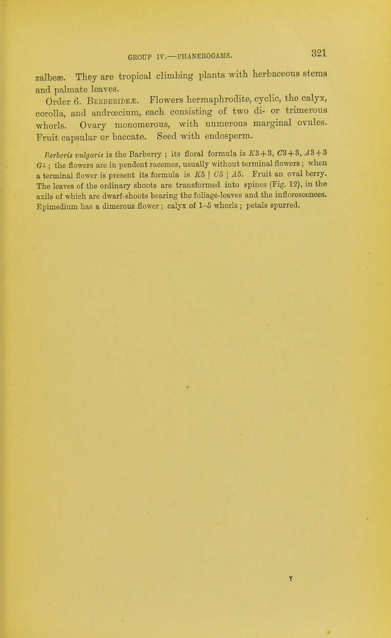 zalbese. They are tropical climbing plants with herbaceous stems and palmate leaves. Order 6. BERBEEiDEiE. Flowers hermaphrodite, cyclic, the calyx, corolla, and androecinm, each consisting of two di- or trimerons whorls. Ovary monomerons, with numerous marginal ovules. Fruit capsular or baccate. Seed with endosperm. Berberis vulgaris is the Barberry ; its floral formula is K3 + 3, C3 + 3, ^3 + 3 Gi; the flowers are in pendent racemes, usually without terminal flowers; when a terminal flower is present its formula is K5 \ C5 \ A5. Fruit an oval berry. The leaves of the ordinary shoots are transformed into spines (Fig. 12), in the axils of which are dwarf-shoots bearing the foliage-leaves and the inflorescences. Epimedium has a dimerous flower; calyx of 1-5 whorls ; petals spurred. T