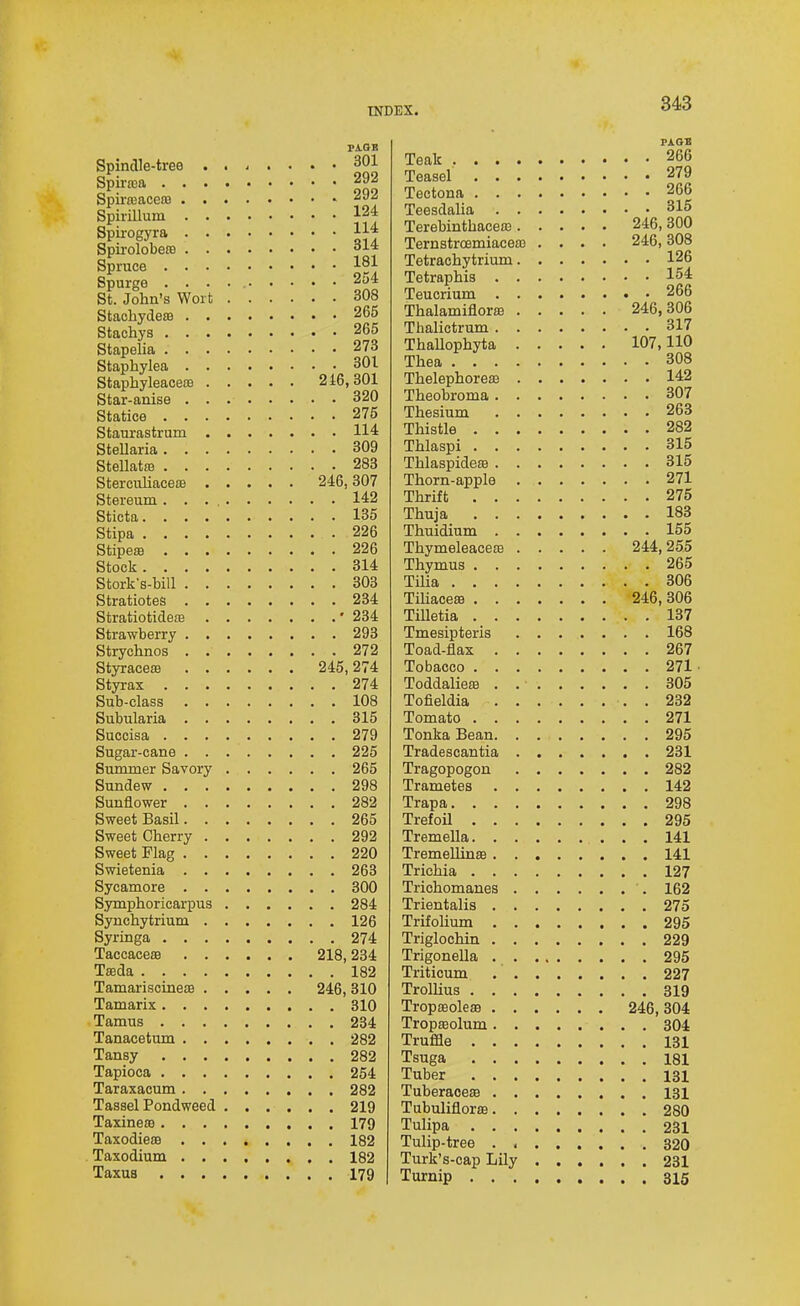 PiGB Spindle-tree 301 Sjiiu^a 292 Spiraiaceaa 292 SpiriUum 124 Spirogyra 11^ SpirolobetB J'-'-* Spruce 181 Spurge . . . . ^-^^ St. John's Wort 308 StachydesB 265 Stachys 265 Stapelia 273 Staphylea 301 StaphyleaceoB 216,301 Star-anise 320 Statice 275 Stanrastrum 114 SteUaria 309 Stellatfe 283 StercuUaceo! 246,307 Stereum 142 Sticta 135 Stipa 226 StipesB 226 Stock 314 Stork's-bill 303 Stratiotes 234 StratiotidsEE '234 Strawberry 293 Strychnos 272 Styraceffl 245,274 Styrax 274 Sub-class 108 Subularia 315 Suceisa 279 Sugar-cane 225 Summer Savory 265 Sundew 298 Sunflower 282 Sweet Basil 265 Sweet Cherry 292 Sweet Flag 220 Swietenia 263 Sycamore 300 Symphoricarpus 284 Synchytrium 126 Syringa 274 Taccaceaa 218,234 Tseda 182 TamariscineiB 246,310 Tamarix 310 Tamus 234 Tanacetum 282 Tansy 282 Tapioca 254 Taraxacum 282 Tassel Pondweed 219 Taxineffl 179 TaxodiesB 182 Taxodium 182 Taxus 179 PAOB Teak 266 Teasel 279 Tectona 266 Teesdalia 315 Terebinthacea3 246, 300 Ternstroemiacea) .... 246, 308 Tetrachytrium 126 Tetraphis 154 Teuorium 266 ThalamifioriB 246,306 Thalictrum 317 ThaUophyta 107,110 Thea 308 Thelephoreaj 142 Theobroma 307 Thesium 263 Thistle 282 Thlaspi 315 ThlaspidesB 315 Thorn-apple 271 Thrift 275 Thuja 183 Thuidium 155 ThymeleaceEB 244,255 Thymus 265 Tilia 306 TiUaceffl 246,306 Tilletia 137 Tmesipteris 168 Toad-flax 267 Tobacco 271 • Toddalieffi . 305 Tofieldia . 232 Tomato 271 Tonka Bean 295 Tradescantia 231 Tragopogon 282 Trametes 142 Trapa 298 Trefoil 295 Tremella 141 Tremellinfe 141 Trichia 127 Trichomanes 162 Trientalis 275 Trifolium 295 Triglochin 229 Trigonella 295 Triticum 227 Trollius 319 Tropseoleae 246, 304 Trop£Eolum 304 Truffle 131 Tsuga 181 Tuber 131 Tuberaceaa 131 TubuliflorsB 280 Tulipa 231 Tulip-tree 320 Turk's-cap Lily 231 Turnip 3ig