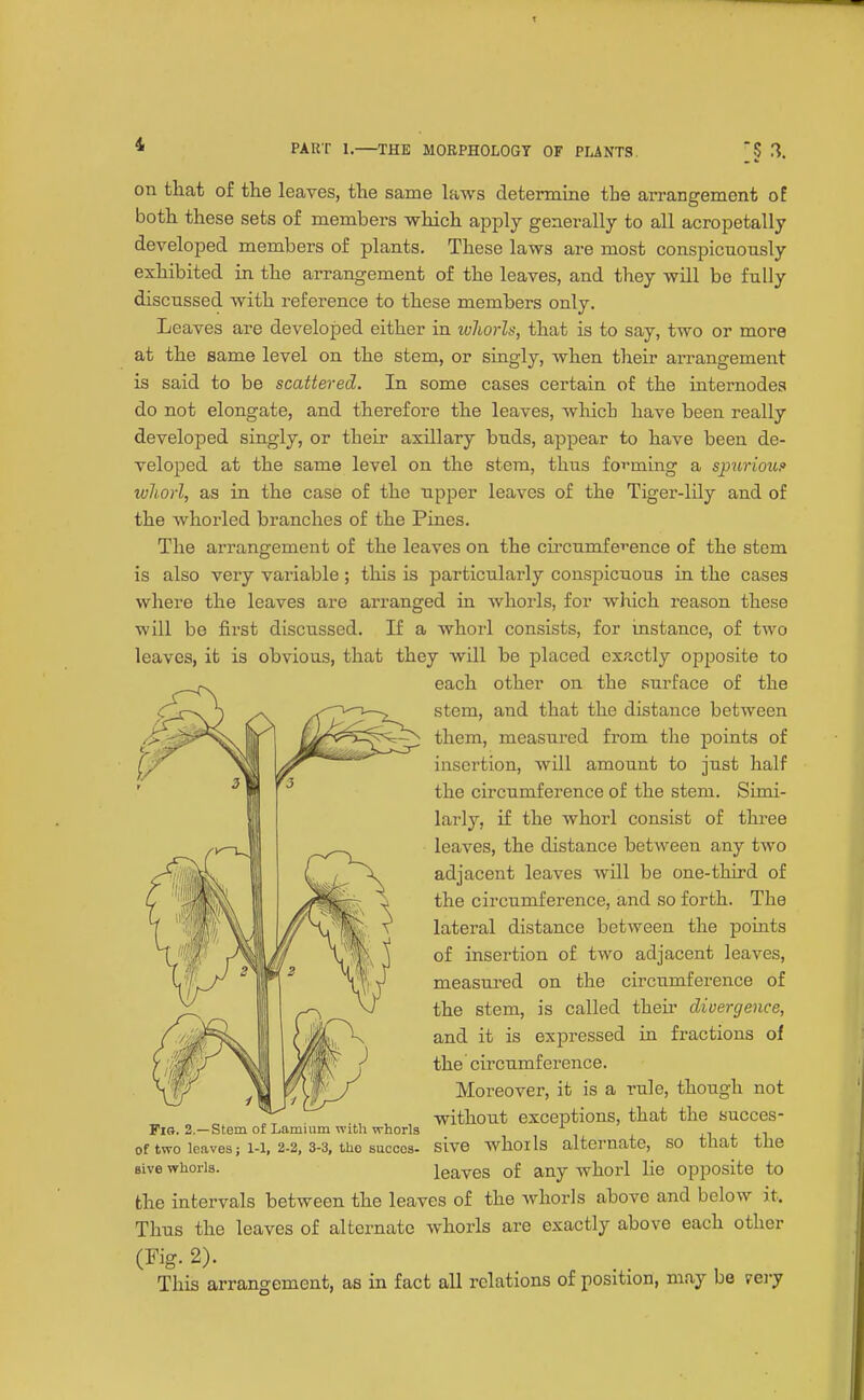 on that of the leaves, the same laws determine the arrangement of both these sets of members -which apply generally to all acropetally developed members of plants. These laws are most conspicuonsly exhibited in the arrangement of the leaves, and they will be fully discussed with reference to these members only. Leaves are developed either in whorls, that is to say, two or more at the same level on the stem, or singly, when their arrangement is said to be scattered. In some cases certain of the internodes do not elongate, and therefore the leaves, which have been really developed singly, or their axillary buds, ajspear to have been de- veloped at the same level on the stem, thus forming a spurioui' whorl, as in the case of the npper leaves of the Tiger-lily and of the whorled branches of the Pines. The arrangement of the leaves on the cu'cumfe^'ence of the stem is also very variable; this is particularly conspicuous in the cases where the leaves are arranged in whorls, for which reason these will be first discussed. If a whorl consists, for instance, of two leaves, it is obvious, that they will be placed ex.ictly opposite to each other on the surface of the stem, and that the distance between them, measured from the points of insertion, will amount to just half the circumference of the stem. Simi- larly, if the whorl consist of three leaves, the distance between any two adjacent leaves will be one-third of the circumference, and so forth. The lateral distance between the points of insertion of two adjacent leaves, measured on the circumference of the stem, is called then- divergence, and it is expressed in fractious of the circumference. Moreover, it is a rule, though not without exceptions, that the succes- sive whoils alternate, so that the leaves of any whorl lie opposite to the intervals between the leaves of the whorls above and below it. Thus the leaves of alternate whorls are exactly above each other (Fig-2). ^ This arrangement, as in fact all relations of position, may be very Fio. 2.—Stem of Lamium with whorls of two leaves; 1-1, 2-2, 3-3, the succes- sive whorls.