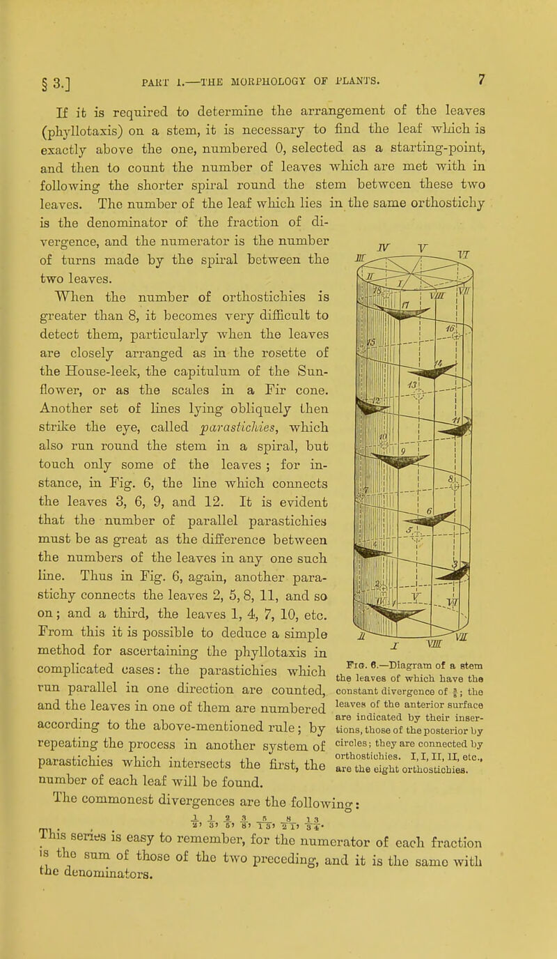 §3.] If it is required to determine tlie arrangement of the leaves (phyllotaxis) on a stem, it is necessary to find tlie leaf wLich is exactly above the one, numbered 0, selected as a starting-point, and tlxen to count tbe number of leaves wlucb are met witb in following the shorter spiral round the stem between these two leaves. The number of the leaf which lies in the same orthostichy is the denominator of the fraction of di- vergence, and the numerator is the number of turns made by the spiral between the two leaves. When the number of orthostichies is greater than 8, it becomes very difficult to detect them, particularly when the leaves are closely arranged as in the rosette of the House-leek, the capitulum of the Sun- flower, or as the scales in a Fir cone. Another set of lines lying obliquely then strilce the eye, called parasticldes, which also run round the stem in a spiral, but touch only some of the leaves ; for in- stance, in Fig. 6, the line which connects the leaves 3, 6, 9, and 12. It is evident that the number of parallel parastichies must be as great as the difference between the numbers of the leaves in any one such liae. Thus in Fig. 6, again, another para- stichy connects the leaves 2, 5, 8, 11, and so on; and a third, the leaves 1, 4, 7, 10, etc. From this it is possible to deduce a simple method for ascertaining the phyllotaxis in complicated cases: the parastichies wliich run parallel in one direction are counted, and the leaves in one of them are numbered according to the above-mentioned rule; by repeating the process in another system of parastichies which intersects the first, the number of each leaf will be foujid. The commonest divergences are the followino-: ii2.3._»_ 8 13 , 3> B> 8> 13» ■2T» ir** Ihis series is easy to remember, for the numerator of each fraction IS tho sum of those of the two preceding, and it is the same with the denominators. Fig. 6.—Diagram of a stem the leaves of which have the constant divergence of f; tho leaves of the anterior surface are indicated by their inser- tions, those of the posterior by circles; they are connected by orthostichies. I, I, II, II, elc, are the eight orthostichies.