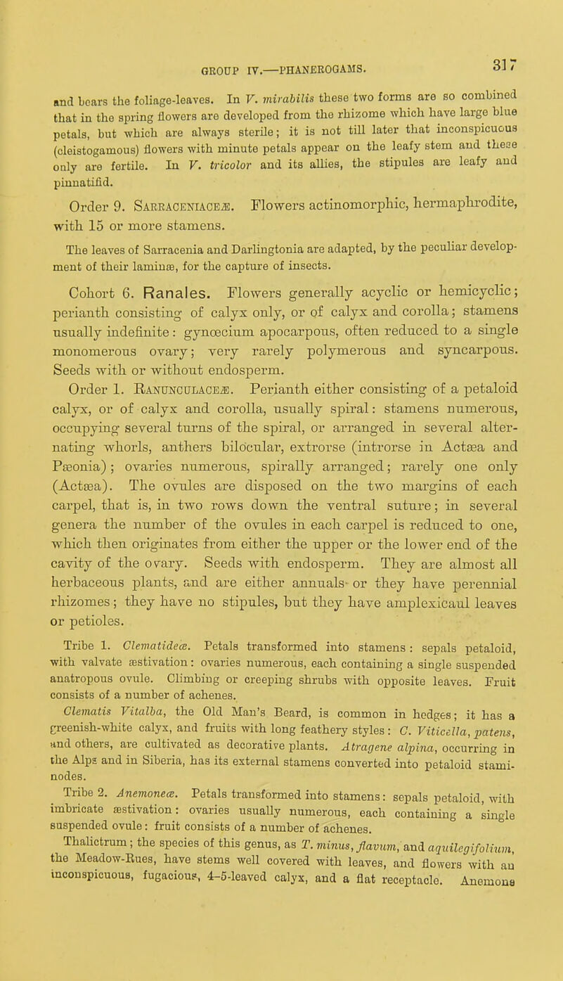 and boars the foliage-leaves. In V. mirahilis these two forms are so combined that in the spring flowers are developed from the rhizome which have large blue petals, but which are always sterile; it is not till later that inconspicuous (cleistogamous) flowers with minute petals appear on the leafy stem and these only are fertile. In V. tricolor and its aUies, the stipules are leafy and piunatifid. Order 9. SARRACENlACEiE. Flowers actinomorpliic, hermaplirodite, with 15 or more stamens. The leaves of Sarracenia and Darlingtonia are adapted, by the pecuUar develop- ment of their lamiuse, for the capture of insects. Cohort 6. Ranales. Flowers generally acyclic or hemicyclic; perianth consisting of calyx only, or of calyx and corolla; stamens nsually indefinite: gynoecium apocarpous, often rednced to a single monomerous ovary; very rarely polymerous and syncarpons. Seeds with or without endosperm. Order 1. RANUNCULACEiE. Perianth either consisting of a petaloid calyx, or of calyx and corolla, usually spiral: stamens numerous, occupying several tuims of the spiral, or arranged in several alter- nating whorls, anthers bilocular, extrorse (introrse in Act^a and PjBonia); ovaries numerous, spirally arranged; rarely one only (ActjBa). The ovules are disposed on the two margins of each carpel, that is, in two rows down the ventral suture; in several genera the number of the ovules in each carpel is reduced to one, which then originates from either the upper or the lower end of the cavity of the ovary. Seeds with endosperm. They are almost all herbaceous plants, and are either annuals- or they have perennial rhizomes; they have no stipules, but they have amplexicaul leaves or petioles. Tribe 1. GlewatidecB. Petals transformed into stamens : sepals petaloid, with valvate asstivation: ovaries numerous, each containing a single suspended anatropous ovule. Chmbiug or creeping shrubs with opposite leaves. Fruit consists of a number of achenes. Clematis Vitalba, the Old Man's Beard, is common in hedges; it has a f^reenish-white calyx, and fruits with long feathery styles : C. Viticella, patens, and others, are cultivated as decorative plants. Atragene alpina, occurring in the Alps and in Siberia, has its external stamens converted into petaloid stami- nodes. Tribe 2. Anemonece. Petals transformed into stamens: sepals petaloid, with imbricate estivation: ovaries usually numerous, each containing a single suspended ovule: fruit consists of a number of achenes. ThaUctrum; the species of this genus, as T. minus, flavjm, aiii aqidlegifoUum, the Meadow-Eues, have stems well covered with leaves, and flowers with au inconspicuous, fugaciou?, 4-5-leaved calyx, and a flat receptacle. Anemone