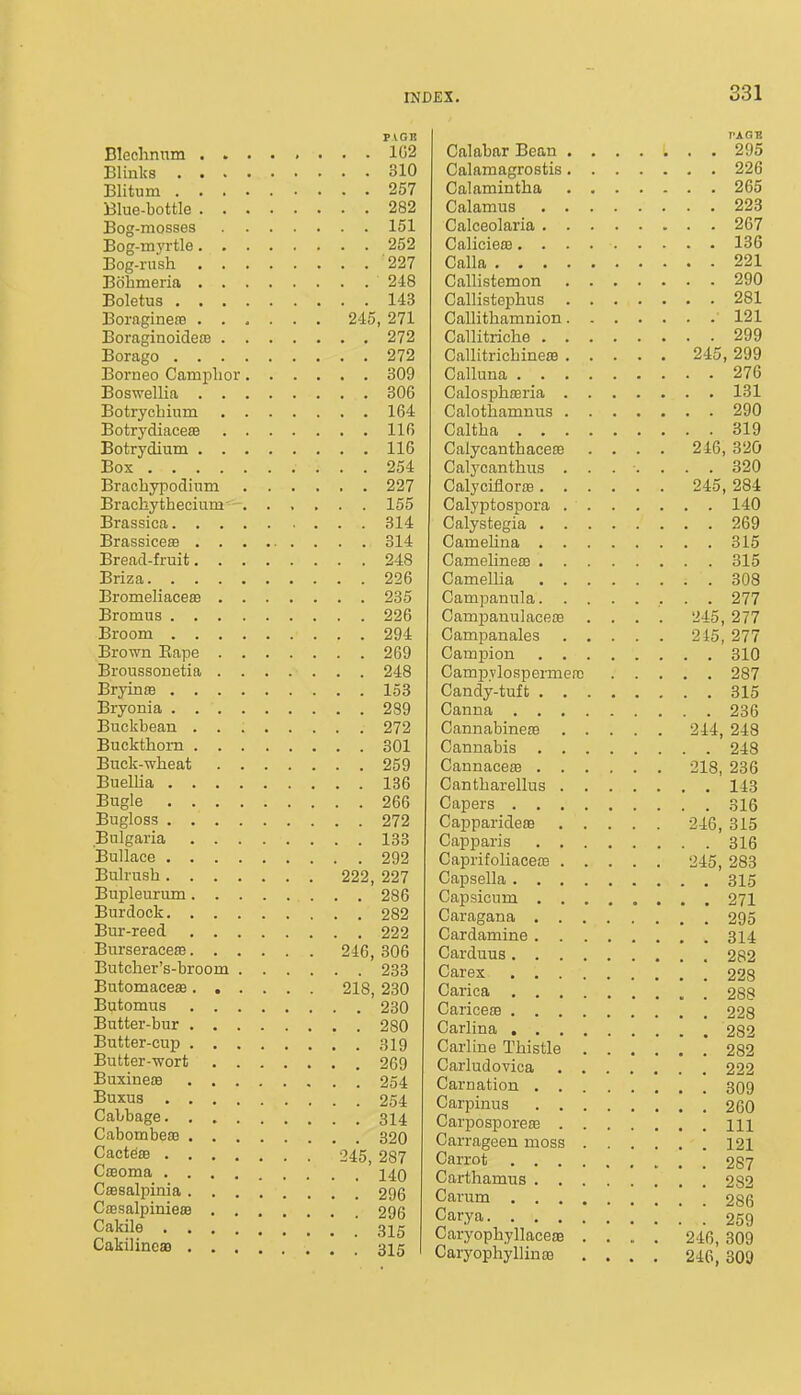 V\OJt Blechnnm ........ 1G2 Bliuks 310 Blitum 257 Blue-bottle 282 Bog-mosses 151 Bog-myrtle 252 Bog-rush 227 Bohmeria 248 Boletus 143 Boraginete 245, 271 BoraginoideiB 272 Borago 272 Borneo Camphor 309 BoswelHa 306 Botrychuim 164 Botrydiace£B 116 Botrydium 116 Box 254 Brachypodium 227 Brachythecium -. ..... 155 Brassica 314 Brassiceaa 314 Bread-fruit 248 Briza 226 Bromeliaceas 235 Bromus 226 Broom 294 Brown Eape 269 Broussonetia 248 Bryinffi 153 Bryonia 289 Buckhean 272 Buckthorn 301 Buck-wheat 259 BueUia 136 Bugle 266 Bugloss 272 Bulgaria 133 Bullace 292 Bulrush 222, 227 Bupleurum 286 Burdock 282 Bur-reed 222 Burseracesa 246, 306 Butcher's-broom 233 Butomaceas 218, 230 Butomus 230 Butter-bur 280 Butter-cup 319 Butter-wort 269 Buxineffi 254 Buxus 254 Cabbage. . 314 CabombeiB 320 Cacte£8 24:5, 287 Cseoma 140 CaBsalpinia 296 CffisalpiniejB 296 Cakile 315 CakilincaB 315 T'AGB Calabar Bean 295 Calamagrostis 226 Calamintha 265 Calamus 223 Calceolaria 267 Calicieee 136 Calla 221 Callistemon 290 Callistephus 281 Callithamnion 121 Callitriche 299 CallitrichinejB 245, 299 Calluna 276 CalosphiEria 131 Calothamnus 290 Caltha 319 Calycanthacete .... 246, 320 Calycanthus ....... 320 Calyciflor£B 245, 284 Calyptospora 140 Calystegia 269 Camehna 315 Cameline£G 315 Camellia 308 Campanula 277 Cami)anulace£B .... 245, 277 Campanales 215, 277 Campion 310 CamiDvlospermerc 287 Candy-tuft 315 Canna 236 CannabinesB 244, 248 Cannabis 248 Caunace£e 218, 236 Cantharellus 143 Capers 316 Capparideae 246, 315 Capparis 316 Caprifoliaceas 245, 283 Capsella 315 Capsicum 271 Caragana 295 Cardamine 314 Carduus 282 Carex 228 Carica 288 Caricefe 228 Carlina 282 Carline Thistle 282 Carludovica 222 Carnation 309 Carpinus 260 Carposporeffi m Carrageen moss 121 Carrot 287 Carthamus 282 Cavum 286 Carya 259 Caryophyllaceae 246, 309 Caryophyllinse .... 246, 309