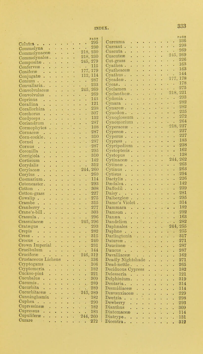 PAGI! Colutca 295 Commelyna 230 Commelynacete .... 218, 230 Commelyuales 218, 230 CompositiB 245, 279 ConfervetB 115 Conifer£B 177, 179 Conjugatte 112, 114 Conium 287 Convallaria 233 Convolvulacete .... 245, 269 Convolvulus 269 Coprinus 14'^ Corallina 121 Corallorhiza 288 Corchorus 307 Cordyceps 132 Coriandi'um 287 Cormopbytes 108 Cornace£B 287 Corn-cockle 310 Cornel 287 Cornus 287 Coronilla 295 Corrigiola 310 Corticium 142 Corydalis 312 CorylacesB 244, 260 Corylus 260 Cosmarium 114 Cotoneaster 293 Cotton 308 Cotton-grass 227 Cowslip 275 Crambe 315 Cranberry 277 Crane's-bill 303 Crassula 296 Crassulaceffi 245, 296 Cratffigus 293 Crepis 282 Cress 315 Crocus 240 Crown Imperial ...... 231 Crucibulum 144 Cruciferte 246, 312 Crustaceous Lichens .... 136 Cryptogams 106 Cryptomeria 182 Cuckoo-pint 221 Cucubalus 309 Cucumis 289 Cucurbita 289 Cucurbitaceae 245, 289 Cunningbamia 182 Cupbea 290 CupressinesB 182 Cupressus . ' 183 Cupulifer£B 244, 260 Curare 272 PA OB Curcuma 236 Currant 298 Cuscuta , . . . 269 Cuscuteffi 245, 269 Cut-grass 226 Cyatbea 163 Cyatbeacesa 163 Cyatbus 144 Cycadeffi 177, 178 Oycas 178 Cyclamen 275 CyclautbefB 218,221 Cydouia 293 Cynara 282 CynaretB 282 Cyuodon 225 Cynoglossum 272 Cynomorium 264 Cyperace£B 218, 227 CyperesB 227 Cyperus 227 Cypress 1^3 Cypripedium 238 Cystopteris 162 Cystopus 128 Cytinacese 244, 262 CytinefB 263 Cytinus 263 Cytisus 294 Dactylis 226 DfEdalea 142 Daffodil 239 Daisy 281 Dalbergiem 295 Dame's Violet 314 Dammara 182 Damson 292 Dansea 163 Dandelion .282 Daphnales 244, 255 Daphne 255 Darliugtonia 317 DaturesB 271 Dauciueaa 287 Daucus 287 Davalliaeeas 162 Deadly Nightshade 271 Dead-nettle 265 Deciduous Cypress 182 Delesseria 121 Delphinium 319 Dentaria 814 DesmidiacecB 114 Desvauxiaceffi 229 Deutzia . . . ' 298 DewbeiTy 293 Diantbus 309 Diatomacea3 114 Diatrype 131 Dicentra 312