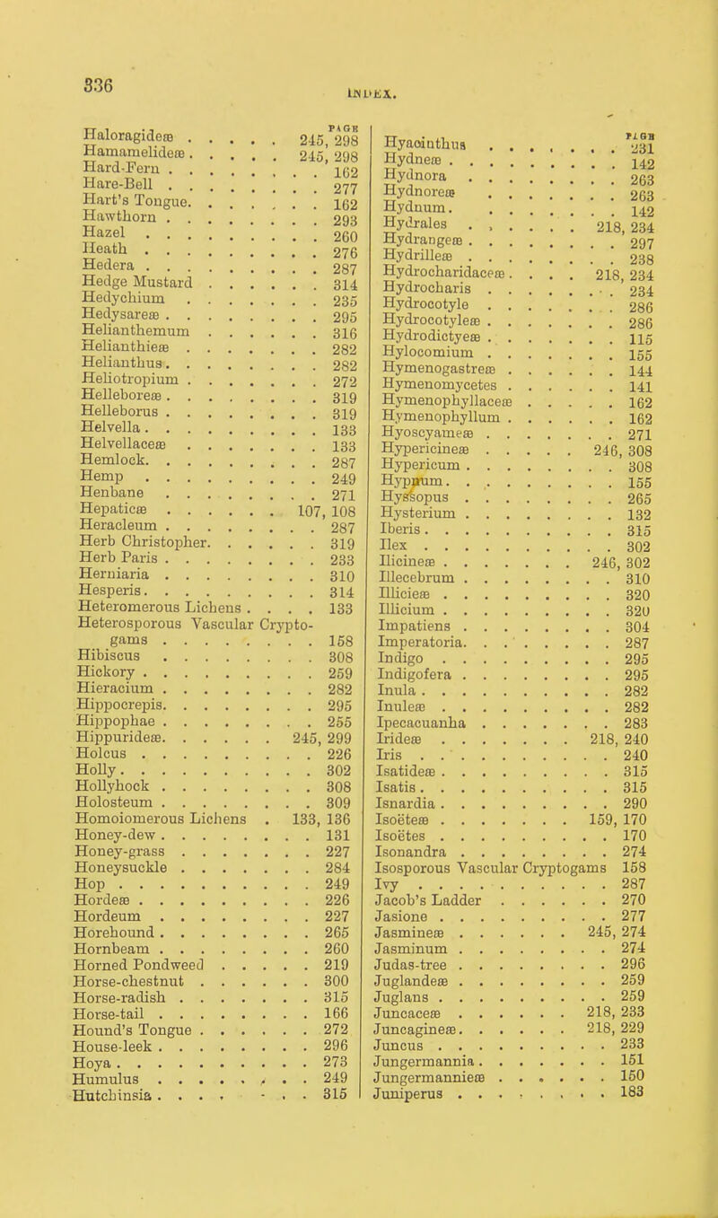 Haloragidete 245, 298 Hamamelideffi 2io', 298 Hard-Fern ' 1(32 Hare-Bell [ 277 Hart's Tongue 162 Hawthorn 293 Hazel 260 Heath 276 Hedera 287 Hedge Mustard ' 314 Hedychium 235 Hedysarete 295 Helianthemum 316 Helianthieas 282 Helianthus 282 Heliotropium 272 Helleboreje 319 Helleborus 319 Helvella 133 Helvellaceffi I33 Hemlock 287 Hemp '249 Henbane 271 Hepatic£B 107, 108 Heracleum 287 Herb Christopher 319 Herb Paris 233 Heruiaria 310 Hesperis 314 Heteromerous Lichens .... 133 Heterosporous Vascular Crypto- gams 158 Hibiscus 308 Hickory 259 Hieracium 282 Hippocrepis 295 Hippophae 255 Hippurideffi 245, 299 Holcus 226 Holly 302 Hollyhock 308 Holosteum 309 Homoiomerous Lichens . 133, 136 Honey-dew 131 Honey-grass 227 Honeysuckle 284 Hop 249 Hordeffi 226 Hordeum 227 Horehound 265 Hornbeam 260 Horned Pondweed 219 Horse-chestnut 300 Horse-radish 315 Horse-tail 166 Hound's Tongue 272 House-leek 296 Hoya 273 Humulus f • • 249 Hutchinsia, . . , ■ . . 316 Hyaaiuthus '^Il Hydneas * 142 gy^noi-a .'263 MydnoreiB 263 Hyduum  142 Hydjales ...... 218,234 HydrangeiE 297 HydrillesB .' ! 238 Hydrocharidacpffi.... 218, 234 Hydrocharis . 234 Hydrocotyle 286 Hydrocotyleaa 286 Hydrodictyeffi 115 Hylocomium 155 HymenogastrecB 144 Hymenomycetes 141 Hymenopbyllaceffi 162 Hymenophyllum 162 Hyoscyameae 271 HypericineiB 246, 308 Hypericum 308 Hypirum. 155 Hys'sopus 265 Hysterium 132 Iberis 315 Ilex 302 IlicineoB 246, 302 lUecebrum 310 Illicie® 320 lUicium 320 Impatiens 304 Imperatoria. . 287 Indigo 295 Indigofera 295 Inula 282 Inuleas 282 Ipecacuanha 283 Iridese 218, 240 Iris 240 Isatideffi 315 Isatis 815 Isnardia 290 Isoeteffi 159, 170 Isoetes 170 Isonandra 274 Isosporous Vascular Cryptogams 158 Ivy 287 Jacob's Ladder 270 Jasione 277 JasminesB 245, 274 Jasminum 274 Judas-tree 296 JuglandesB 259 Juglans 259 Juncaceffi 218, 233 Juncaginese 218,229 Juncus 233 Jungermannia 151 Jungermanniete 150 Juniperus 183