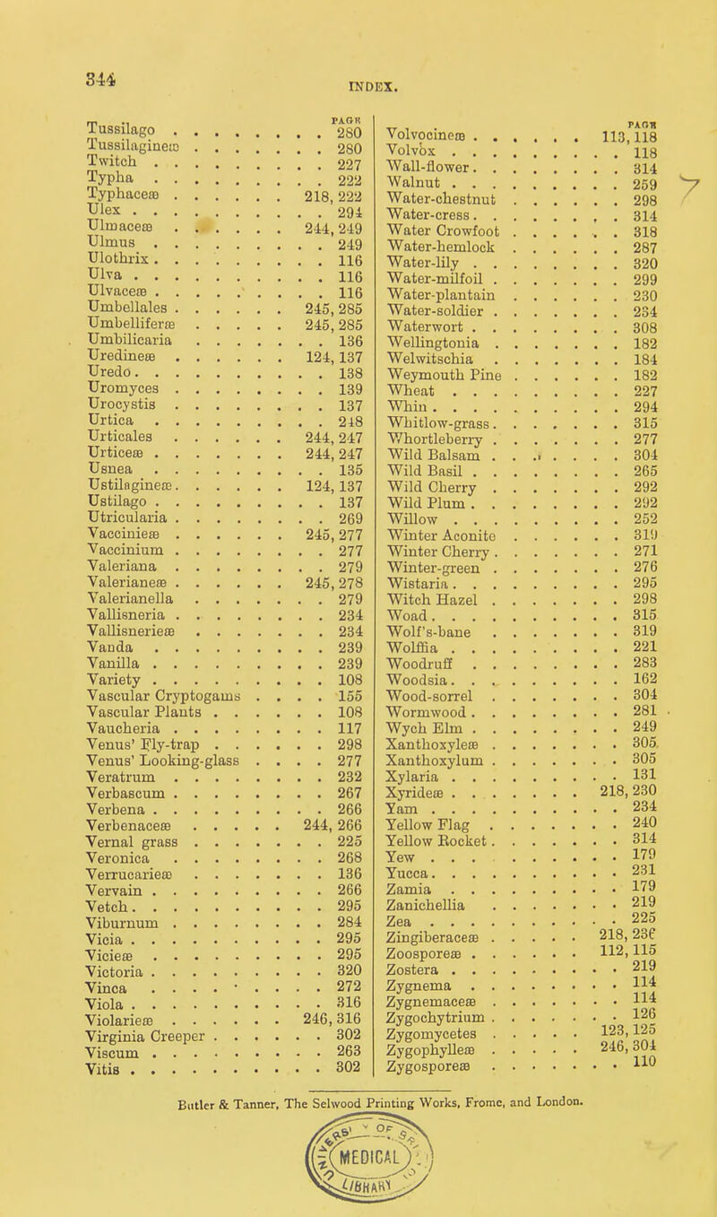 Tussilago 280 Tussilagiaeio 280 Twitch 227 Typha ! ! ! 222 Typhacea3 218,222 Ulex 29i Ulmacece 244,249 Ulmus 249 Ulothrix 116 Ulva 116 Ulvaceffl 116 Umbellales 245,285 Umbellifevas 245,285 Umbilicaria 136 UredineEB 124,137 Uredo 138 Uromyces 139 Urocystis 137 Urtica 248 Urticales 244,247 Urticese 244, 247 Usnea 135 UstilagineEE 124,137 Ustilago 137 Utricularia 269 Vacciniefe 245,277 Vaccinium 277 Valeriana 279 ValerianeiB 245, 278 Valerianella 279 Vallisneria 234 Vallisnerieffi 234 Vanda 239 Vanilla 239 Variety 108 Vascular Cryptogams .... 155 Vascular Plants 108 Vaucheria 117 Venus' ]?ly-trap 298 Venus' Looking-glass .... 277 Veratrum 232 Verbascum 267 Verbena 266 VerbenacesB 244,266 Vernal grass 225 Veronica 268 Verrucarieffi 136 Vervain 266 Vetch 295 Viburnum 284 Vieia 295 Vicieaj 295 Victoria 320 Vinca ......... 272 Viola 316 Violarieffi 246,316 Virginia Creeper 302 Viscum 263 Yitis 302 Volvocinoffl 113, us Volvbx 118 Wall-flower 314 Walnut 259 Water-chestnut 298 Water-cress , . 314 Water Crowfoot ...... 318 Water-hemlock 287 Water-lily 320 Water-milfoil 299 Water-plantain 230 Water-soldier 234 Waterwort 308 Wellingtonia 182 Welwitschia 184 Weymouth Pine 182 Wheat 227 Whin 294 Whitlow-grass 315 V/hortleberry 277 Wild Balsam ........ 304 Wild Basil 265 Wild Cherry 292 Wild Plum 292 WUlow 252 Winter Aconite 319 Winter Cherry 271 Winter-green 276 Wistaria 295 Witch Hazel 298 Woad 315 Wolf's-bane 319 Wolffia 221 Woodruff 283 Woodsia 162 Wood-sorrel 304 Wormwood 281 ■ WychElm 249 Xanthoxyleffi 305 Xanthoxylum 305 Xylaria 131 Xyrideffl 218,230 Yam 234 Yellow Flag 240 Yellow Eocket 314 Yew . . 179 Yucca 231 Zamia 179 ZaniehelHa 219 Zea 225 Zingiberacese 218,23f Zoosporeas 112) 115 Zostera 219 Zygnema Zygnemaceffi H'^ Zygochytrium 126 Zygomycetes 123,12o ZygophyUece 246,304 Zygosporea9 Butler & Tanner, The Selwood Printing Works, Frome, and London.