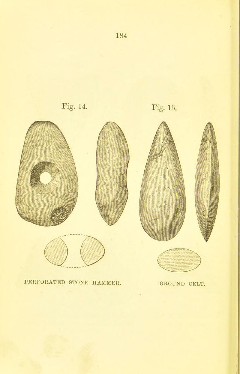 Fig. 14. Fig. 15. rKRFOllATED STONK IlAMMKll. GROUND CELT.