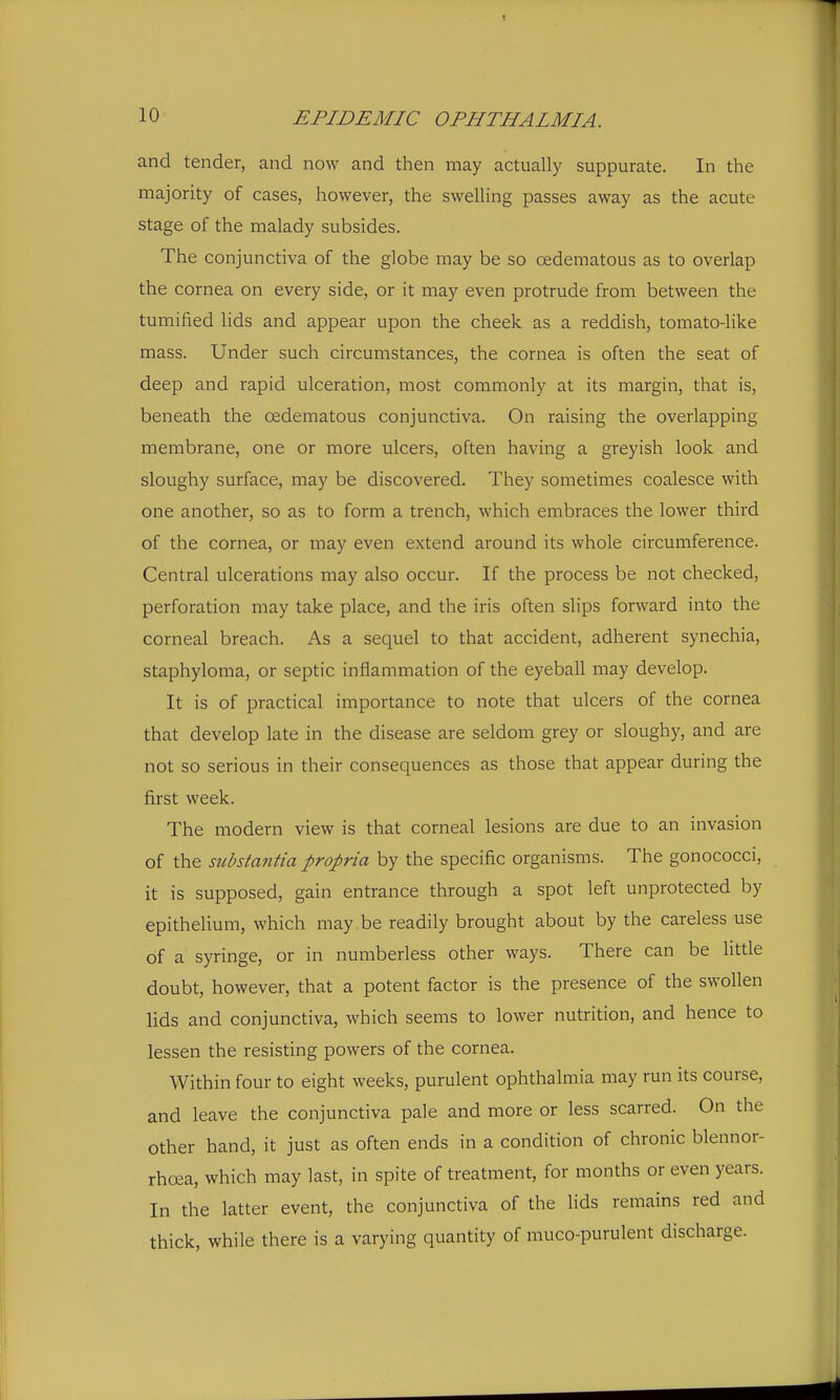 and tender, and now and then may actually suppurate. In the majority of cases, however, the swelling passes away as the acute stage of the malady subsides. The conjunctiva of the globe may be so oedematous as to overlap the cornea on every side, or it may even protrude from between the tumified lids and appear upon the cheek as a reddish, tomato-like mass. Under such circumstances, the cornea is often the seat of deep and rapid ulceration, most commonly at its margin, that is, beneath the oedematous conjunctiva. On raising the overlapping membrane, one or more ulcers, often having a greyish look and sloughy surface, may be discovered. They sometimes coalesce with one another, so as to form a trench, which embraces the lower third of the cornea, or may even extend around its whole circumference. Central ulcerations may also occur. If the process be not checked, perforation may take place, and the iris often slips forward into the corneal breach. As a sequel to that accident, adherent synechia, staphyloma, or septic inflammation of the eyeball may develop. It is of practical importance to note that ulcers of the cornea that develop late in the disease are seldom grey or sloughy, and are not so serious in their consequences as those that appear during the first week. The modern view is that corneal lesions are due to an invasion of the substatttia propria by the specific organisms. The gonococci, it is supposed, gain entrance through a spot left unprotected by epithelium, which may be readily brought about by the careless use of a syringe, or in numberless other ways. There can be little doubt, however, that a potent factor is the presence of the swollen lids and conjunctiva, which seems to lower nutrition, and hence to lessen the resisting powers of the cornea. Within four to eight weeks, purulent ophthalmia may run its course, and leave the conjunctiva pale and more or less scarred. On the other hand, it just as often ends in a condition of chronic blennor- rhoia, which may last, in spite of treatment, for months or even years. In the latter event, the conjunctiva of the lids remains red and thick, while there is a varying quantity of muco-purulent discharge.