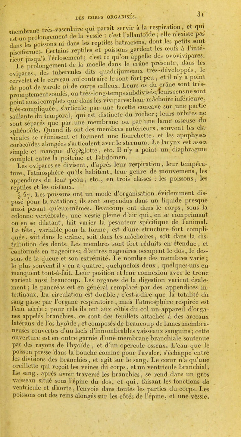 YiPmbrane très-vasculaire qui paraît servir à la respiration, et qui .ïûn molongement de la vessie : c'est l'aUantokle ; elle n'existe pas dans les poissons ni dans les reptiles batraciens, dont les petits sont nisciforroes. Certains reptiles et poissons gardent les œuts a 1 inte- •ieur iusqu'à l'éclosement 5 c'est ce qu'on appelle des ovovivipares. Le prolongement de la moelle dans le crâne présente, dans les prolongement de la moelle clans le crâne prebemc-, udus les ovipares des tubercules dits quadri jumeaux très-développes, le cervelet et le cerveau au contraire le sont fort peu, et il n y a point de pont de varole ni de corps calleux. Leurs os du crâne sont tres- promptement soudés, ou très-long-temps subdivisés; leurs sens ne sont point aussi complets que dans les vivipares; leur mâchoire intérieure, très-compliquée, s'articule par une facette concave sur une partie saillante du temporal, qui est distincte du rocher; leurs orbites ne sont séparés que par une membrane ou par une lame osseuse du sphénoïde. Quand ils ont des membres antérieurs, souvent les cla- vicules se réunissent et forment une fourchette, et les apophyses coracoïdës alongées s'articulent avec le sternum. Le larynx est assez simple et manque d'épi^lotte, etc. 11 n'y a point un diaphragme complet entre la poitrine et l'abdomen. Les ovipares se divisent, d'après leur respiration, leur tempéra- ture, l'atmosphère qu'ils habitent, leur genre de ipouvemens, les appendices de leur peau, etc., en trois classes : les poissons, les reptiles et les oiséaux. § 5-^. Les poissons ont un mode d'organisation évidemment dis- posé pour la natation ; ils sont suspendus dans un hquide presque aussi pesant qu'eux-mêmes. Beaucoup ont dans le corps, sous la colonne vertébrale, une vessie pleine d'air qui, en se comprimant ou en se dilatant, fait varier la pesanteur spécifique de l'animal. La tête, variable pour la forme, est d'une structure fort compli- quée, soit dans le crâne, soit dans les mâchoires, soit dans la dis- tribtition des dents. Les membres sont fort réduits en étendue, et conformés en nageoires ; d'autres nageoires occupent le dos, le des- sous de la queue et son extrémité. Le nombj e des membres varie ; le plus souvent il y en a quatre, quelquefois deux , quelques-uns en manquent tout-à-fait. Leur position et leur connexion avec le tronc varient aussi beaucoup. Les organes de la digestion varient égale- ment ; le pancréas est en général remplacé par des appendices in- testinaux. La circulation est double,' c'est-à-dire que la totalité du sang passe par l'organe respiratoire , mais l'atmosphère respirée est l'eau aérée : pour cela ils ont aux côtés du col un appareil d'orga- nes appelés branchies, ce sont des feuillets attachés à des arceaux latéraux de l'os hyoïde, et composés de beaucoup de lames membra- neuses couvertes d'un lacis d'innombrables vaisseaux sanguins; cette ouverture est en outre garnie d'une membrane branchiale soutenue par des rayons de l'hyoïde, et d'un opercule osseux. L'eau que le poisson presse dans la bouche comme pour l'avaler, s'échappe entre les divisions des branchies, et agit sur le sang. Le cœur n'a qu'une oreillette qui reçoit les veines du corps, et un ventricule branchial. Le sang, après avoir traversé les branchies, se rend dans un gros vaisseau situé sous l'épine du dos, et qui, faisant les fonctions de ventricule et d!aorte, l'envoie dans toutes les parties du corps. Les poissons ont des reins alongés sur les côtés de l'épine, et une vessie.