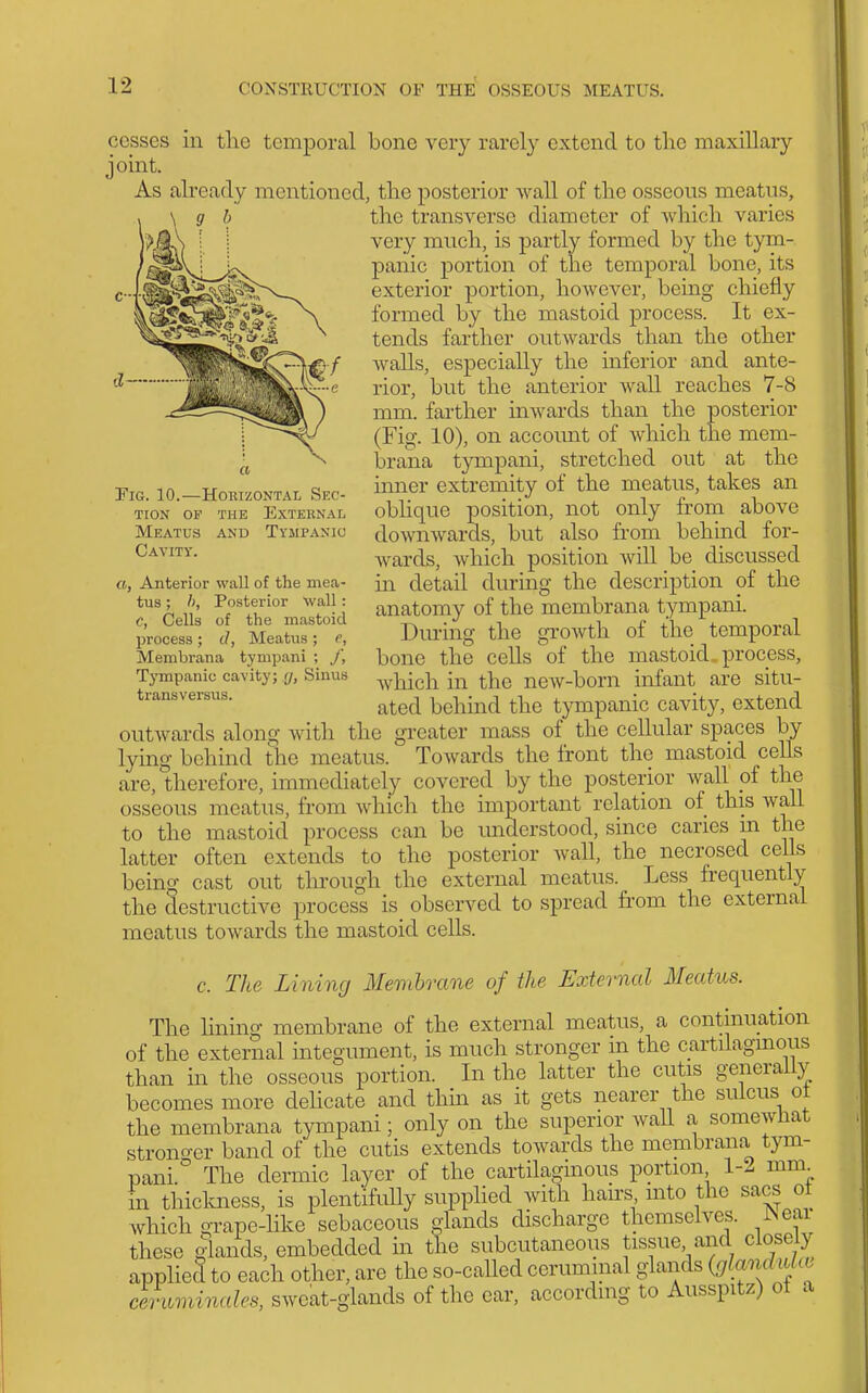 ElG. 10.—HOEIZONTAL SEC- TION OP THE External Meatus and Tympanic Cavity. a, Anterior wall of the mea- tus ; /), Posterior wall : c, Cells of the mastoid process; d, Meatus; e, Membrana tymp.ini ; /, Tympanic cavity; <j, Sinus transversus. cesses in the temporal bone very rarely extend to tlie maxillary joint. As already mentioned, the posterior wall of the osseous meatus, the transverse diameter of which varies very much, is partly formed by the tym- panic portion of the temporal bone, its exterior portion, however, being chiefly formed by the mastoid process. It ex- tends farther outwards than the other walls, especially the inferior and ante- rior, but the anterior wall reaches 7-8 mm. farther inwards than the posterior (Fig. 10), on account of which the mem- brana tympani, stretched out at the inner extremity of the meatus, takes an oblique position, not only from above downwards, but also from behmd for- wards, which position will be discussed in detail during the description of the anatomy of the membrana tympani. Dm-ing the growth of the temporal bone the cells of the mastoid, process, which in the ncAV-born infant are situ- ated behmd the tympanic cavity, extend outwards along with the greater mass of the cellular spaces by lymg behind the meatus. Towards the front the mastoid cells are, therefore, immediately covered by the posterior wall pf the osseous meatus, from which the important relation of this wall to the mastoid process can be understood, since caries in the latter often extends to the posterior wall, the necrosed cells being cast out through the external meatus. Less frequently the destructive process is observed to spread fi'om the external meatus towards the mastoid cells. c. The Lining Membrane of the Extei-nal Meatus. The lining membrane of the external meatus, a continuation of the external integument, is much stronger in the cartilagmous than in the osseous portion. In the latter the cutis generally becomes more dehcate and thin as it gets nearer the sulcus ot the membrana tympani; only on the superior waU a somewliat stronger band of the cutis extends towards the membrana tym- pani. The dermic layer of the cartilaginous portion 1-2 mm in thicloiess, is plentifully supplied with hahs mto the sacs ol which grape-like sebaceous glands discharge themselves. Pseai these glands, embedded in the subcutaneous tissue and closely apphed to each other, are the so-called ceruminal glands {glandiiUv ceruviinales, sweat-glands of the ear, accordmg to Ausspitz) ot a