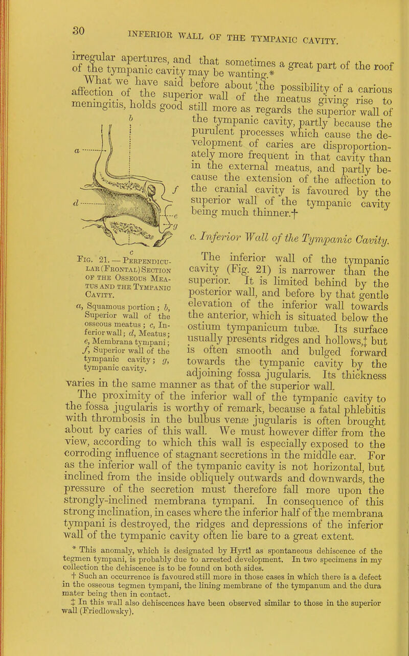 so meningitis, Hold. .oo'JSl^ret tgaX^e LpX'llu S ^> the tympanic cavity, partly because the purulent processes which cause the de- velopment of cai-ies are disproportion- ately more frequent in that cavity than m the external meatus, and partly be- cause the extension of the affection to the cranial cavity is favoured by the superior wall of the tympanic cavity being much thinner.f Fig. 21. — Perpendicu- lar (Frontal) Section OP THE Osseous Mea- tus AND THE Tympanic Cavity. a, Squamous portion ; b, Superior wall of the osseous meatus ; c, In- ferior wall; d, Meatus; e, Membrana tympani; y, Superior wall of the tympanic cavity; g, tympanic cavity. c. Inferior Wall of the Tymioanic Cavity. The inferior wall of the tympanic cavity (Fig. 21) is narrower than the superior. It is limited behind by the posterior wall, and before by that gentle elevation of the inferior wall towards the anterior, which is situated below the ostium tympanicum tubse. Its surface usually presents ridges and hollows,^ but is often smooth and bulged forward towards the tympanic cavity by the . . adjoining fossa jugularis. Its thiclmess varies m the same manner as that of the superior wall. The proximity of the inferior wall of the tympanic cavity to the fossa jugularis is worthy of remark, because a fatal phlebitis with thrombosis in the bulbus vena? jugularis is often brought about by caries of this wall. We must however differ from the view, according to which this wall is especially exposed to the corroding influence of stagnant secretions m the middle ear. For as the inferior wall of the tympanic cavity is not horizontal, but inclined from the inside obhquely outwards and downwards, the pressure of the secretion must therefore fall more upon the strongly-inclined membrana tympani. In consequence of this strong inclination, in cases where the inferior half of the membrana tympani is destroyed, the ridges and depressions of the inferior wall of the tympanic cavity often lie bare to a great extent. * This anomaly, which is designated by Hyrtl as spontaneous dehiscence of the tegmen tympani, is probably due to arrested development. In two specimens in my collection the dehiscence is to be found on both sides. + Such an occurrence is favoured still more in those cases in which there is a defect in the osseous tegmen tympani, the lining membrane of the tympanum and the dura mater being then in contact. t In this wall also dehiscences have been observed similar to those in the superior wall (Friedlowsky).