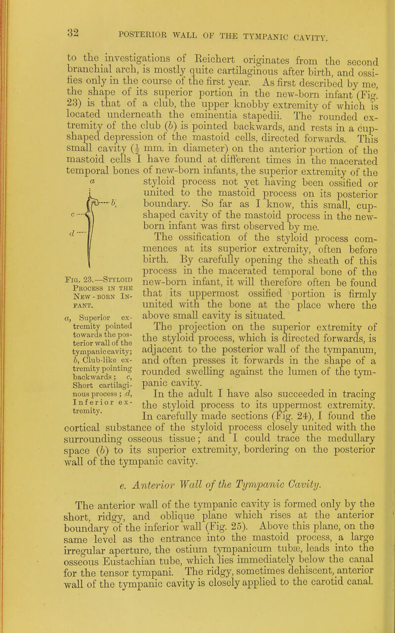 to the investigations of Reichert originates from the second branchial arch, is mostly quite cartilaginous after birth, and ossi- fies only in the course of the first year. As first described by me, the shape of its superior portion in the new-born infant (Fio-! 23) is that of a club, the upper knobby extremity of which ?s located underneath the emmentia stapedii. The rounded ex- tremity of the club (h) is pointed backwards, and rests in a cup- shaped depression of the mastoid cells, directed forwards. This small cavity mm. m diameter) on the anterior portion of the mastoid cells I have found at different times in the macerated temporal bones of new-born infants, the superior extremity of the styloid process not yet having been ossified or united to the mastoid process on its posterior boundary. So far as I know, this small, cup- shaped cavity of the mastoid process in the new- born infant was first observed by me. The ossification of the styloid process com- mences at its superior extremity, often before birth. By carefully opening the sheath of this process in the macerated temporal bone of the new-born infant, it will therefore often be found that its uppermost ossified portion is firmly united with the bone at the place where the above small cavity is situated. The projection on the superior extremity of the styloid process, which is dhected forwards, is adjacent to the posterior wall of the tympanum, and often presses it forwards in the shape of a rounded swelling against the lumen of the tym- panic cavity. In the adult I have also succeeded in tracing the styloid process to its uppermost extremity. In carefully made sections (Fig. 24), I found the cortical substance of the styloid process closely united with the surrounding osseous tissue; and I could trace the medullary space (6) to its superior extremity, bordering on the posterior wall of the tympanic cavity. e. Anterior Wall of the Tympanic Cavity. The anterior wall of the tympanic cavity is formed only by the short, ridgy, and obhque plane Avhich rises at the anterior boundary of the inferior wall (Fig. 25). Above this plane, on the same level as the entrance into the mastoid process, a large irregular aperture, the ostium tympanicum tubas, leads mto the osseous Eustachian tube, which lies immediately below the canal for the tensor tympani. The ridgy, sometimes dehiscent,_anterior wall of the tympanic cavity is closely applied to the carotid canal. a Fig. 23.—Styloid Process in the New - BORN In- fant. a, Superior ex- tremity pointed towards the pos- terior wall of the tympanic cavity; h, Club-like ex- tremity pointing backwards; c, Short cartilagi- nous process ; d. Inferior ex- tremity.