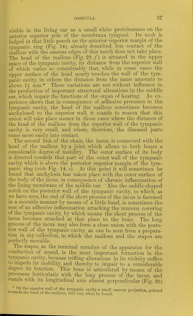 visible in tlie living ear as a small white protuberance on the anterior superior pole of the membrana tympani. Its neck is lodo-ecl in that little pouch on the anterior superior margin of the tympanic ring (Fig. 14), already described, but contact of the malfeus with the osseous edges of this notch does not take place. The head of the malleus (Fig. 29, /) is situated ui the upper space of the tympanic cavity, its distance from the superior wall of which varies so , considerably that, while m some cases the upper surface of the head nearly touches the wall of the tym- panic cavity, in others the distance from the same amounts to above 1^ mm.* These variations are not without influence in the production of important structural alterations in the middle ear, which impair the fmictions of the organ of hearing. As ex- perience shows that in consequence of adhesive processes in the tympanic cavity, the head of the malleus sometimes becomes anchylosed to the superior wall, it stands to reason that this union will take place sooner in those cases where the distance of the head of the malleus from the superior wall of the tympanic cavity is very small, and where, therefore, the diseased parts come more easily into contact. The second liiik of the chain, the incus, is connected with' the head of the malleus by a joint, which allows to both bones a considerable degree of mobility. The outer surface of its body is directed towards that part of the outer wall of the tympanic cavity which is above the posterior superior margin of the tym- panic ring {vide Fig. 14, c). At this point it will sometimes be found that anchylosis has taken place with the outer surface of the body of the incus, in consequence of chronic inflammation of the lining membrane of the middle ear. Also the saddle-shaped notch on the posterior wall of the tympanic cavity, to which, as we have seen, the end of the short process of the mcus is fastened in a movable manner by means of a httle band, is sometimes the seat of an adhesive inflammation attacking the mucous covermg of the tympanic cavity, by which means the short process of the incus becomes attached at that place to the bone. The long process of the incus may also form a close union with the poster rior wall of the tympanic cavity, as can be seen from a prepara- tion in my collection, in which the malleus and the stapes are perfectly movable. The stapes, as the terminal member of the apparatus for the conduction of sound, is the most important formation in the tympanic cavity, because triflmg alterations m its vicinity suffice to impede its mobility, and thereby to impah to a considerable degree its function. This bone is articulated by means of the processus lenticularis with the long process of the incus, and stands with its longitudinal axis almost perpendicular (Fig. 29) * On the superior wall of the tympanic cavity a small osseous projection, pointed towards the head of the malleus, will very often be found. ^