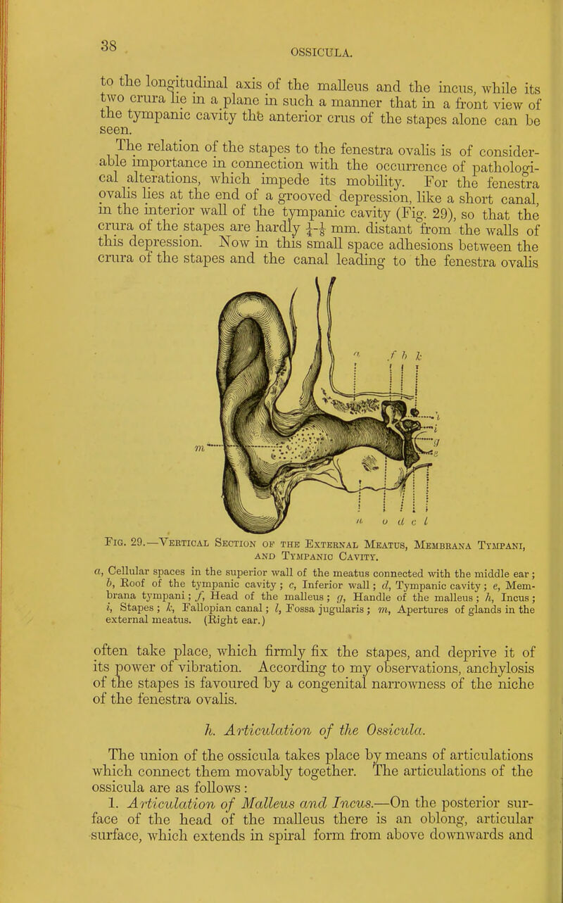 OSSICULA. to the lonmtudmal axis of the niaUeiis and the mens, while its two crura he in a plane m such a manner that in a front view of the tympanic cavity tht3 anterior crus of the stapes alone can be seen. The relation of the stapes to the fenestra ovahs is of consider- able importance m connection with the occurrence of patholoo-i- cal alterations, which impede its mobihty. For the fenesti-a ovahs lies at the end of a grooved depression, like a short canal, m the mterior wall of the tympanic cavity (Fig. 29), so that the crura of the stapes are hardly ^-^ mm. distant from the walls of this depression. Now in this small space adhesions between the crura of the stapes and the canal leading to the fenestra ovahs Fig. 29.—Vertical Section of the External Meatus, Membrana Tyaipani, AND Tympanic Cavity. a, Cellular spaces in the superior wall of the meatus connected with the middle ear ; b, Eoof of the tympanic cavity; c, Inferior wall; d, Tympanic cavity; e, Mem- brana tympani; /, Head of the malleus ; (/, Handle of the malleus ; h, Incus; i, Stapes ; k, Fallopian canal; I, Fossa jugularis ; m, Apertures of glands in the external meatus. (Eight ear.) often take place, which firmly fix the stapes, and deprive it of its power of vibration. According to my observations, anchylosis of the stapes is favoured by a congenital narrowness of the niche of the fenestra ovalis. h. Articulation of the Ossicula. The union of the ossicula takes place by means of articulations which coimect them movably together. The articulations of the ossicula are as follows : 1. Articulation of Malleus and Incus.—On the posterior sur- face of the head of the malleus there is an oblong, articular surface, which extends in spiral form from above downwards and