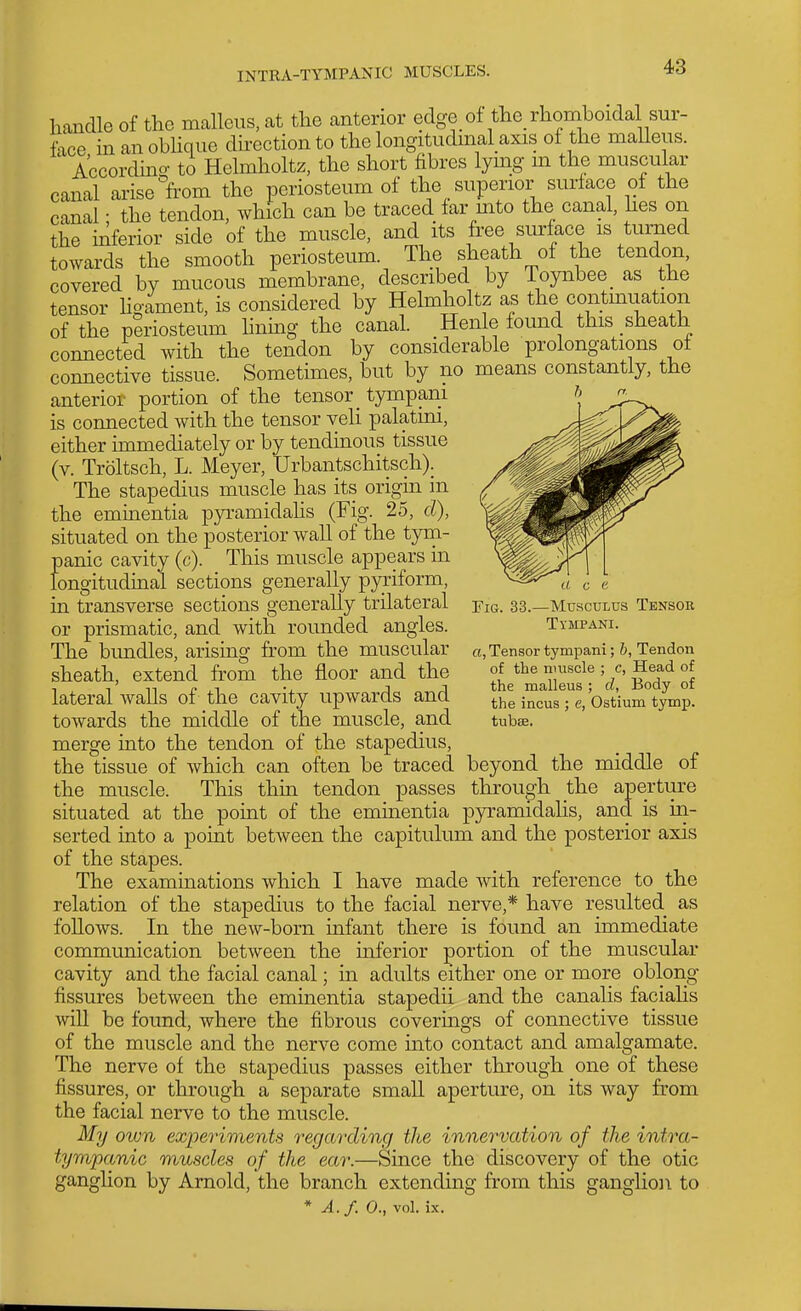 INTEA-TYMPANIC MUSCLES. handle of tlie malleus, at the anterior edge of tlie rhomboidal sur- face in an obUque direction to the longitudinal axis of the malleus. Accordmo- to Helmholtz, the short fibres lymg m the muscular canal arise ft'om the periosteum of the superior surface of the canal; the tendon, which can be traced far mto the canal, hes on the iilferior side of the muscle, and its free surface is turned towards the smooth periosteum. The sheath of the tendon, covered by mucous membrane, described by Toynbee_ as the tensor hgament, is considered by Helmholtz as the continuation of the periosteum linmg the canal. Henle found this sheath connected with the tendon by considerable prolongations of connective tissue. Sometimes, but by no means constantly, the anterior portion of the tensor _ tympam is connected with the tensor veli palatini, either immediately or by tendinous tissue (v. Troltsch, L. Meyer, Urbantschitsch). The stapedius muscle has its origin in the eminentia pyramidahs (Fig. 25, d), situated on the posterior wall of the tym- panic cavity (c). This muscle appears in longitudinal sections generally pyriform, in transverse sections generally trilateral or prismatic, and with rounded angles. The bimdles, arising from the muscular sheath, extend from the floor and the lateral walls of the cavity upwards and towards the middle of the muscle, and merge into the tendon of the stapedius, the tissue of which can often be traced beyond the middle of the muscle. This thm tendon passes through the aperture situated at the point of the eminentia pyramidalis, and is in- serted into a point between the capitulum and the posterior axis of the stapes. The examinations which I have made with reference to tbe relation of the stapedius to the facial nerve,* have resulted as follows. In the new-born infant there is found an immediate communication between the inferior portion of the muscular cavity and the facial canal; in adults either one or more oblong- fissures between the eminentia stapedii and the canalis faciahs will be found, where the fibrous coverings of connective tissue of the muscle and the nerve come into contact and amalgamate. The nerve of the stapedius passes either through one of these fissures, or through a separate small aperture, on its way fr'om the facial nerve to the muscle. My own ex'periments regarding the innervation of the infra- tympanic muscles of the ear.—Since the discovery of the otic ganglion by Arnold, the branch extending from this ganglion to * A.f. 0., vol. ix. U C (i Fig. 33.—Musculus Tensor Timpani. o. Tensor tympani; b. Tendon of the muscle ; c, Head of the malleus ; d. Body of the incus ; e, Ostium tymp. tubae.