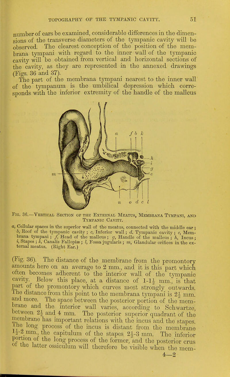 number of ears be examined, considerable differences in tbe dimen- sions of the transverse diameters of the tympanic cavity will be observed. The clearest conception of the position of the mem- brana tympani with regard to the inner wall of the tympanic cavity will be obtained from vertical and horizontal sections of the cavity, as they are represented in the annexed drawings (Figs. 36 and 37). The part of the membrana tjmapani nearest to the inner wall of the tympanum is the umbilical depression which corre- sponds with the inferior extremity of the handle of the malleus Pig. 36.—Vertical Section of the External Meatus, Membrana Tympani, and Tympanic Cavity. a, Cellular spaces in the superior wall of the meatus, connected with the middle ear; b, Roof of the tympanic cavity ; c, Inferior wall; d. Tympanic cavity; e, Mem- brana tympani; /, Head of the malleus; g, Handle of the malleus ; h, Incus; i, Stapes ; k, Canalis Fallopise; I, Fossa jugularis; m, Glandular orifices in the ex- ternal meatus. (Eight Ear.) (Fig. 36). The distance of the membrane from the promontory amounts here on an average to 2 mm., and it is this part which often becomes adherent to the interior wall of the tympanic cavity. Below this place, at a distance of 1-1J mm., is that part of the promontory which curves most strongly outwards. The distance from this point to the membrana tympani is 2| mm. and more. The space between the posterior portion of the mem- brane and the mterior wall varies, according to Schwartze, between 2i and 4 mm. The posterior superior quadrant of the membrane has important relations with the mens and the stapes, ihe long process of the incus is distant from the membrane l2-2mm the capitulum of the stapes 2i-3 mm. The inferior portion ot the long process of the former, and the posterior crus 01 tne latter ossiculum will therefore be visible when the mem- 4—2
