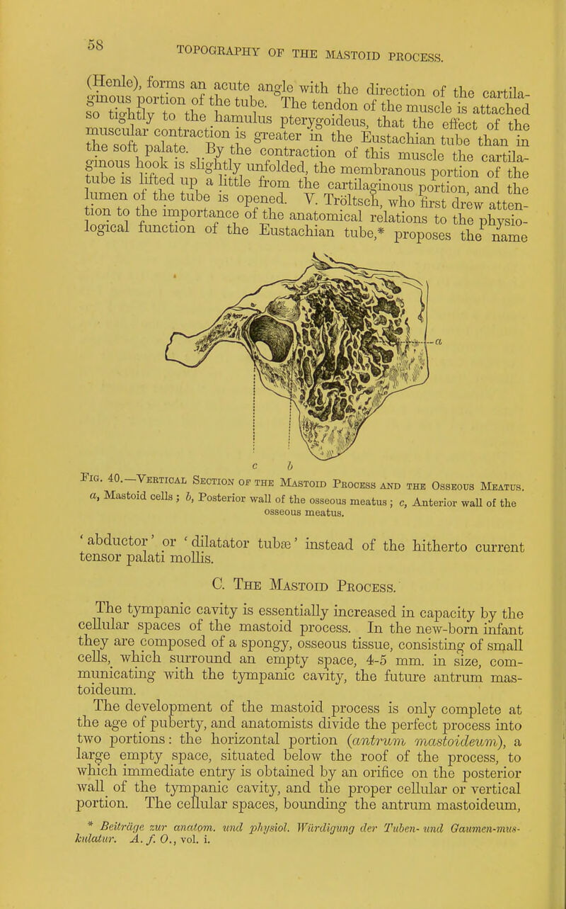 TOPOGRAPHY OF THE MASTOID PROCESS. (Henle), forms an acute angle with the direction of the cartila fo ttXTtho ^^^t^ musclehed so tightly to the hamulus pterygoideus, that the effect of the rsl'^rtr'rti^ ^r ^ the Whian t,^^^^^ tne sott palate. By the contraction of this muscle the cartila- ginous hook IS slightly unfolded, the membranous portfon o he tube IS lifted up a ittle h^orn the cartilaginous portion and the tZTo tL ' ''^t 'Pfffirst drew atten- tion to the importance of the anatomical relations to the physio- logical function of the Eustachian tube * proposes the^ name -a c h Tig. 40.-VEKTICAL Section of- the Mastoid Process and the Osseous Meatus. a, Mastoid cells ; b, Posterior wall of the osseous meatus ; c, Anterior waU of the osseous meatus. ' abductor' or ' dilatator tubaj' instead of the hitherto current tensor palati mollis. C. The Mastoid Process. The tympanic cavity is essentially increased in capacity by the cellular spaces of the mastoid process. In the new-born infant they are composed of a spongy, osseous tissue, consisting of small cells,^ which surround an empty space, 4-5 mm. in size, com- municating with the tympanic cavity, the future antrum mas- toideum. The development of the mastoid process is only complete at the age of puberty, and anatomists divide the perfect process into two portions: the horizontal portion {antrum mastoideum), a large empty space, situated below the roof of the process, to which immediate entry is obtamed by an orifice on the posterior wall_ of the tympanic cavity, and the proper cellular or vertical portion. The cellular spaces, bounding the antrum mastoideum, * Beitrdfje zur anal.om. unci physiol. Wilrdigung der Ttiben- und Gaimcn-mus- kulcUur. A. f. 0., vol. i.