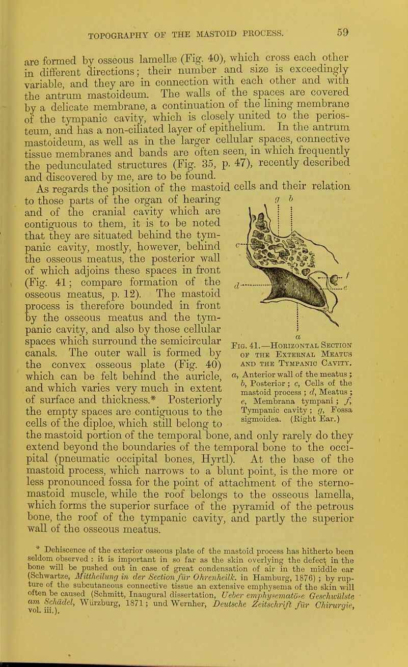 are formed by osseous lamellas (Fig. 40), whicb cross each other in different directions; their number and size is exceedingly variable and they are in connection with each other and with the antrum mastoideum. The walls of the spaces are covered by a dehcate membrane, a continuation of the Hnmg membrane of the tympanic cavity, which is closely united to the perios- teum, and has a non-cihated layer of epithelium. In the antrum mastoideum, as well as in the larger cellular spaces, connective tissue membranes and bands are often seen, m which frequently the pedunculated structures (Fi^. 35, p. 47), recently described and discovered by me, are to be found. As regards the position of the mastoid cells and their relation to those parts of the organ of hearing g h and of the cranial cavity which are contiguous to them, it is to be noted that they are situated behind the tjrin- panic cavity, mostly, however, behind the osseous meatus, the posterior wall of which adjoins these spaces in front (Fig. 41; compare formation of the osseous meatus, p. 12). The mastoid process is therefore bounded in front by the osseous meatus and the tym- panic cavity, and also by those cellular spaces which smTound the semicircular canals. The outer wall is formed by the convex osseous plate (Fig. 40) which can be felt behind the auricle, and which varies very much in extent of surface and thickness.* Posteriorly the empty spaces are contiguous to the cells of the diploe, which still belong to the mastoid portion of the temporal bone, and only rarely do they extend beyond the boundaries of the temporal bone to the occi- pital (pneumatic occipital bones, Hyrtl). At the base of the mastoid process, which narrows to a blunt point, is the more or less pronounced fossa for the point of attachment of the sterno- mastoid muscle, while the roof belongs to the osseous lamella, which forms the superior surface of the pyi-amid of the petrous bone, the roof of the t3Tnpanic cavity, and partly the superior wall of the osseous meatus. * Dehiscence of the exterior osseous plate of the mastoid process has hitherto been seldom observed : it is important in so far as the skin overlying the defecl; in the bone will be pushed out in case of great condensation of air in the middle ear (Schwartze, Mittheilung in der Section fur Ohrenheilk. in Hamburg, 1876) ; by rup- ture of the subcutaneous connective tissue an extensive emphysema of the .skin will often be caused (Schmitt, Inaugural dissertation, Ueber emjihyHemaW.-<e Geschwiihte am Schudel, Wurzburg, 1871; und Wernher, Deutsche Zeiischrift fiir Chirurgie, a Tig. 41.—Hoeizontal Section of the exteknal meatus AND THE Tympanic Cavity. a, Anterior wall of the meatus ; b, Posterior; c, Cells of the mastoid process ; d, Meatus ; e, Membrana tympani; /, Tympanic cavity; g, Fossa sigmoidea. (Right Ear.)