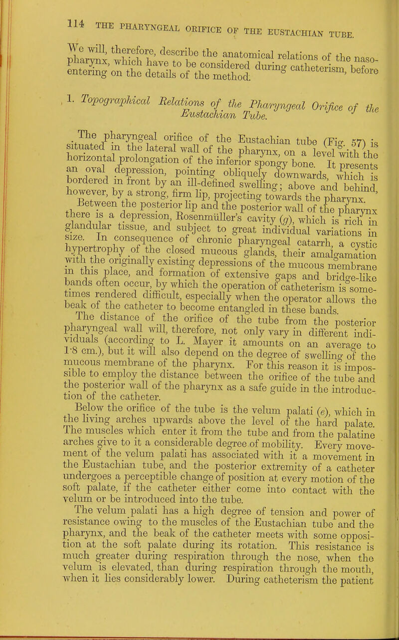 ^wl; the anatomical relations of the naso ^l^^^h^^ '---^^ catheterism^S 1. Topographical Relations of the Phalangeal Orifice of the J^ustachian Tube. The pharjiigeal orifice of the Eustachian tube (Fio- 57^ sitiutted m the lateral waU of the pharynx, on ^L^l with horizontal prolongation of the inferior spongy bone. It Resents an oval (depression, po ntmg obhquefy dmvnwards \vhich is bordered m front by an ill-defined swelling; above aVbehmd however, by a strong, firm lip, projectmg to^wds IL pharZ^^^ Between the posterior hp ancl the posterior wall of tte X^vnx there is a depression RosemnliUer's' cavity (g), wh ch is rich^hr glandidar tissue, and subject to great mdi'^dual variations S size. In consequence of chronic pharyngeal catarrh a cvstic ttt^^^ closed mucous Vn^sl theh-tmaigLa^^^^^^^^ with the ongmahy existmg depressions of the mucous m^embrane 1 ^j^'^ F^ce, and formation of extensive gaps and bridge-like bands often occur, by which the operation of catheterism is^some! times rendered difficult especially when the operator allows the beak of the catheter to become entangled in these bands The distance of the orifice of the tube from the posterior pharyngeal wall will, therefore, not only vary m different indi- viduals (according to L. Mayer it amounts on an average to 1-8 cm.), but It wih also depend on the degree of swellino- of the mucous membrane of the pharynx. For this reason it is impos- sible to employ the distance between the orifice of the tube and the posterior waU of the pharynx as a safe guide in the introduc- tion of the catheter. Below the orifice of the tube is the velum palati (e), which m the hvmg arches upwards above the level of the hard palate The muscles which enter it from the tube and from the palatine arches give to it a considerable degree of mobihty. Every move- ment of the velum palati has associated with it a movement in the Eustachian tube, and the posterior extremity of a catheter undergoes a perceptible change of position at every motion of the soft palate, if the catheter either come into contact Avith the velum or be introduced into the tube. The velum palati has a high degree of tension and power of resistance owing to the muscles of the Eustachian tube and the pharynx, and the beak of the catheter meets with some opposi- tion at the soft palate dm-ing its rotation. This resistance is much ^eater during respiration tlu-ough the nose, when the velum_ is elevated, than during respiration through the mouth, when it lies considerably lower. During catheterism the patient