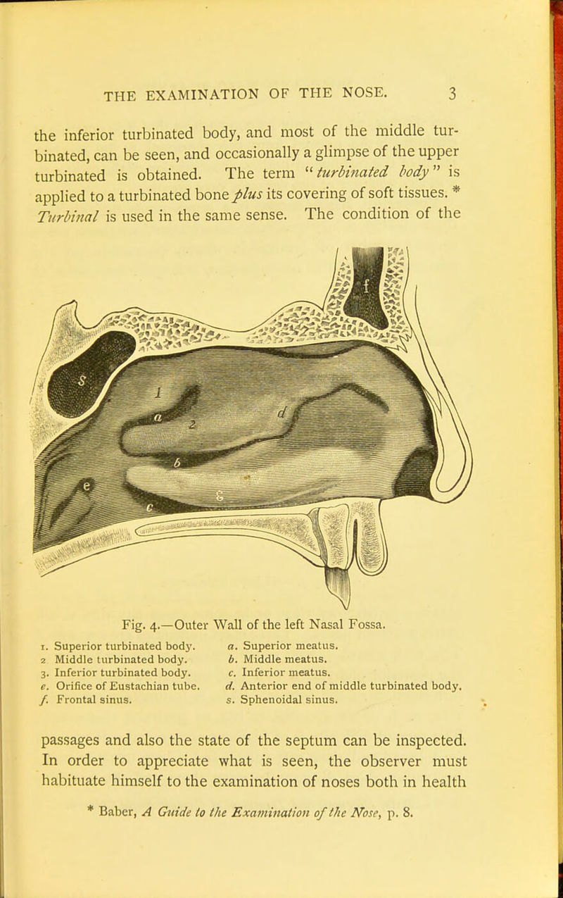the inferior turbinated body, and most of the middle tur- binated, can be seen, and occasionally a glimpse of the upper turbinated is obtained. The term turbinated body is applied to a turbinated bone plus its covering of soft tissues. * Turbinal is used in the same sense. The condition of the Fig. 4 Superior turbinated body. Middle turbinated body. Inferior turbinated body. Orifice of Eustachian tube. Frontal sinus. Outer Wall of the left Nasal Fossa. a. Superior meatus. b. Middle meatus. c. Inferior meatus. d. Anterior end of middle turbinated body, s. Sphenoidal sinus. passages and also the state of the septum can be inspected. In order to appreciate what is seen, the observer must habituate himself to the examination of noses both in health * Baber, A Guide to the Examination of the Nose, p. 8.