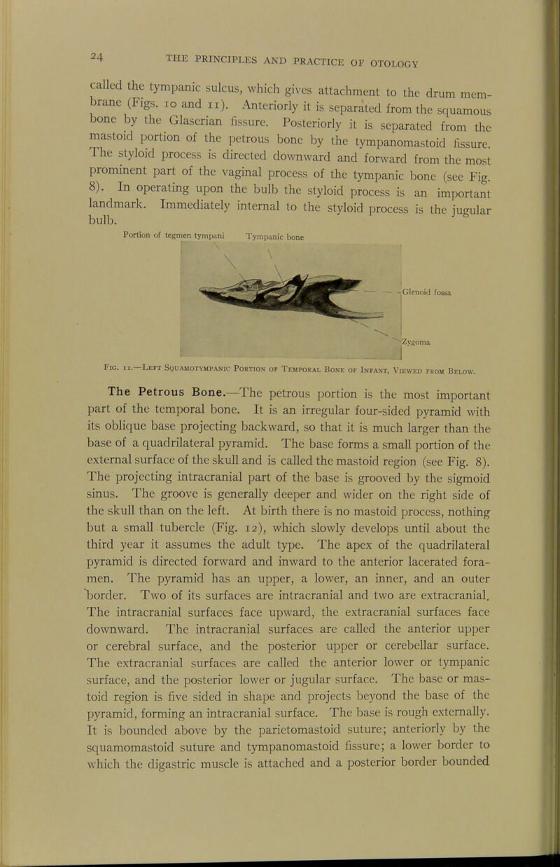 called the tympanic sulcus, which gives attachment to the drum mem- brane (Figs. 10 and n). Anteriorly it is separated from the squamous bone by the Glaserian fissure. Posteriorly it is separated from the mastoid portion of the petrous bone by the tympanomastoid fissure. The styloid process is directed downward and forward from the most prominent part of the vaginal process of the tympanic bone (see Fig. 8). In operating upon the bulb the styloid process is an important landmark. Immediately internal to the styloid process is the jugular bulb. Portion of tegmen tympani Tympanic bone — -Glenoid fossa Zygoma Fig. ii.—Left Squamotympanic Portion of Temporal Bone of Infant, Viewed from Below. The Petrous Bone.—The petrous portion is the most important part of the temporal bone. It is an irregular four-sided pyramid with its oblique base projecting backward, so that it is much larger than the base of a quadrilateral pyramid. The base forms a small portion of the external surface of the skull and is called the mastoid region (see Fig. 8). The projecting intracranial part of the base is grooved by the sigmoid sinus. The groove is generally deeper and wider on the right side of the skull than on the left. At birth there is no mastoid process, nothing but a small tubercle (Fig. 12), which slowly develops until about the third year it assumes the adult type. The apex of the quadrilateral pyramid is directed forward and inward to the anterior lacerated fora- men. The pyramid has an upper, a lower, an inner, and an outer border. Two of its surfaces are intracranial and two are extracranial. The intracranial surfaces face upward, the extracranial surfaces face downward. The intracranial surfaces are called the anterior upper or cerebral surface, and the posterior upper or cerebellar surface. The extracranial surfaces are called the anterior lower or tympanic surface, and the posterior lower or jugular surface. The base or mas- toid region is five sided in shape and projects beyond the base of the pyramid, forming an intracranial surface. The base is rough externally. It is bounded above by the parietomastoid suture; anteriorly by the squamomastoid suture and tympanomastoid fissure; a lower border to which the digastric muscle is attached and a posterior border bounded